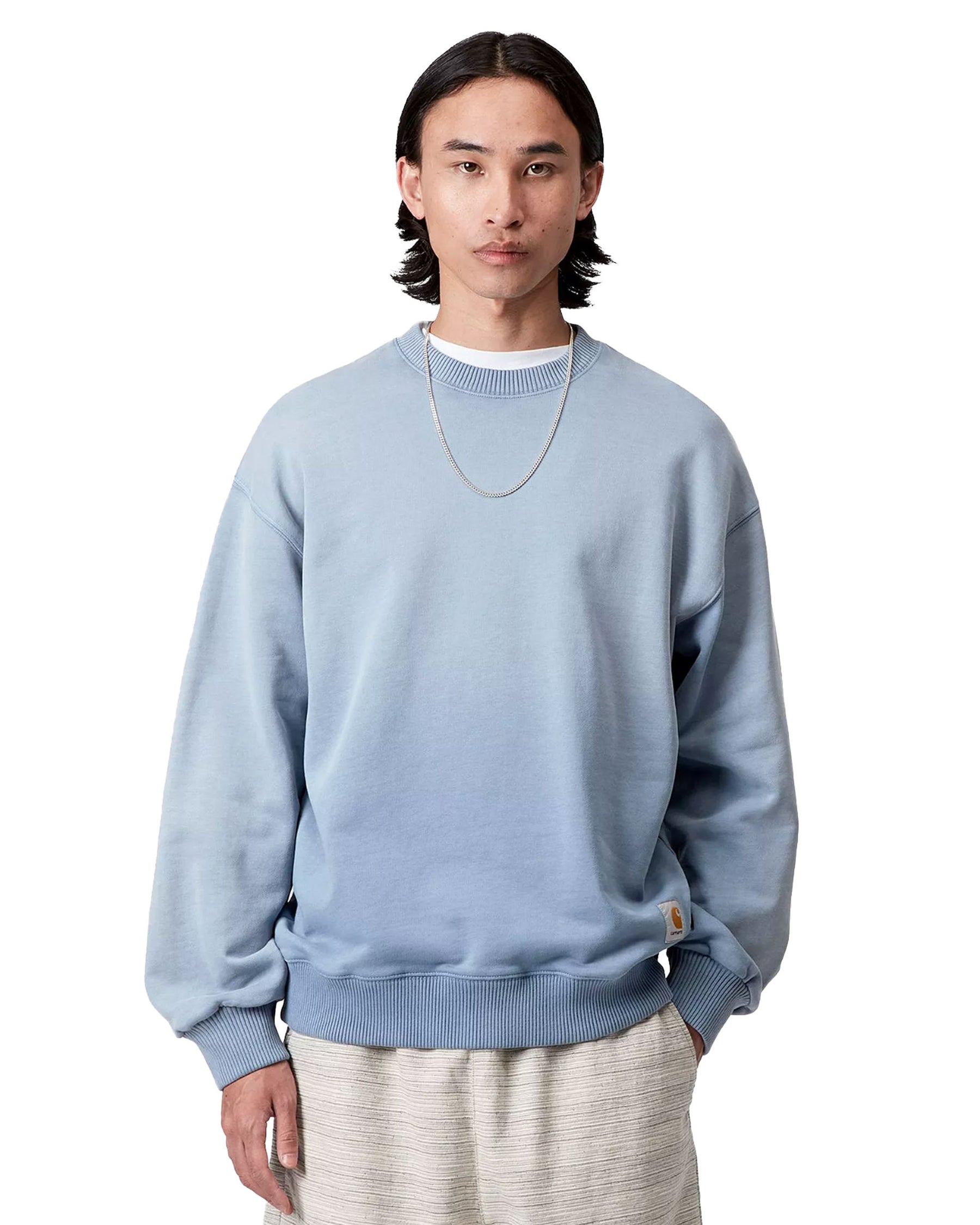 Carhartt Wip Hudson Sweat Sorrent