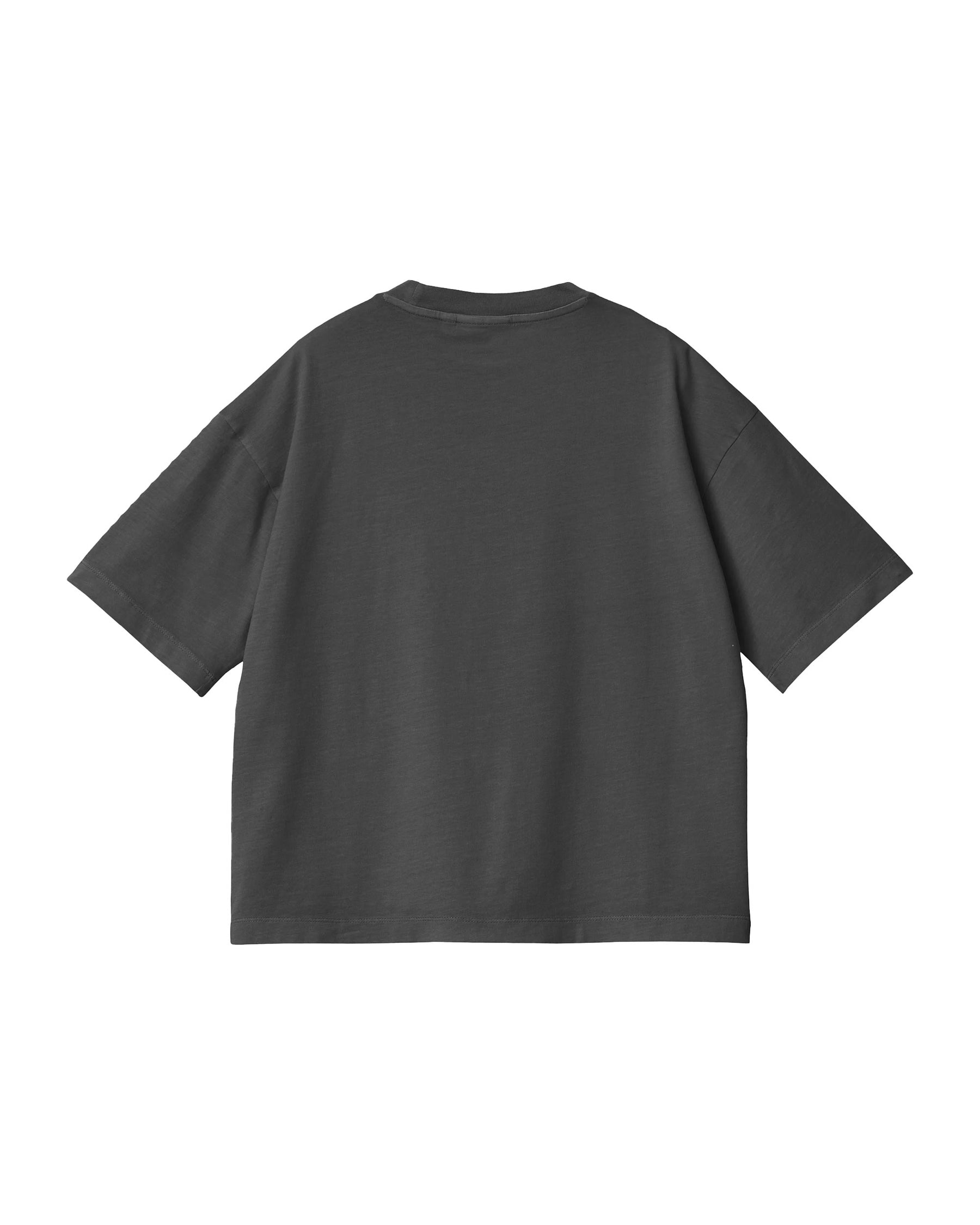 Carhartt Wip Nelson T-Shirt Graphite