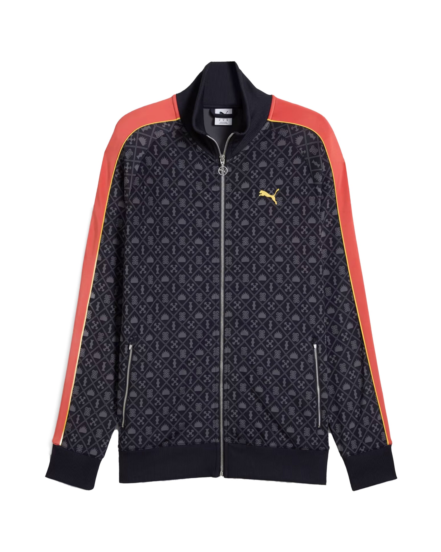 Man's Sweatshirt Puma Road To Unity Aop Blue