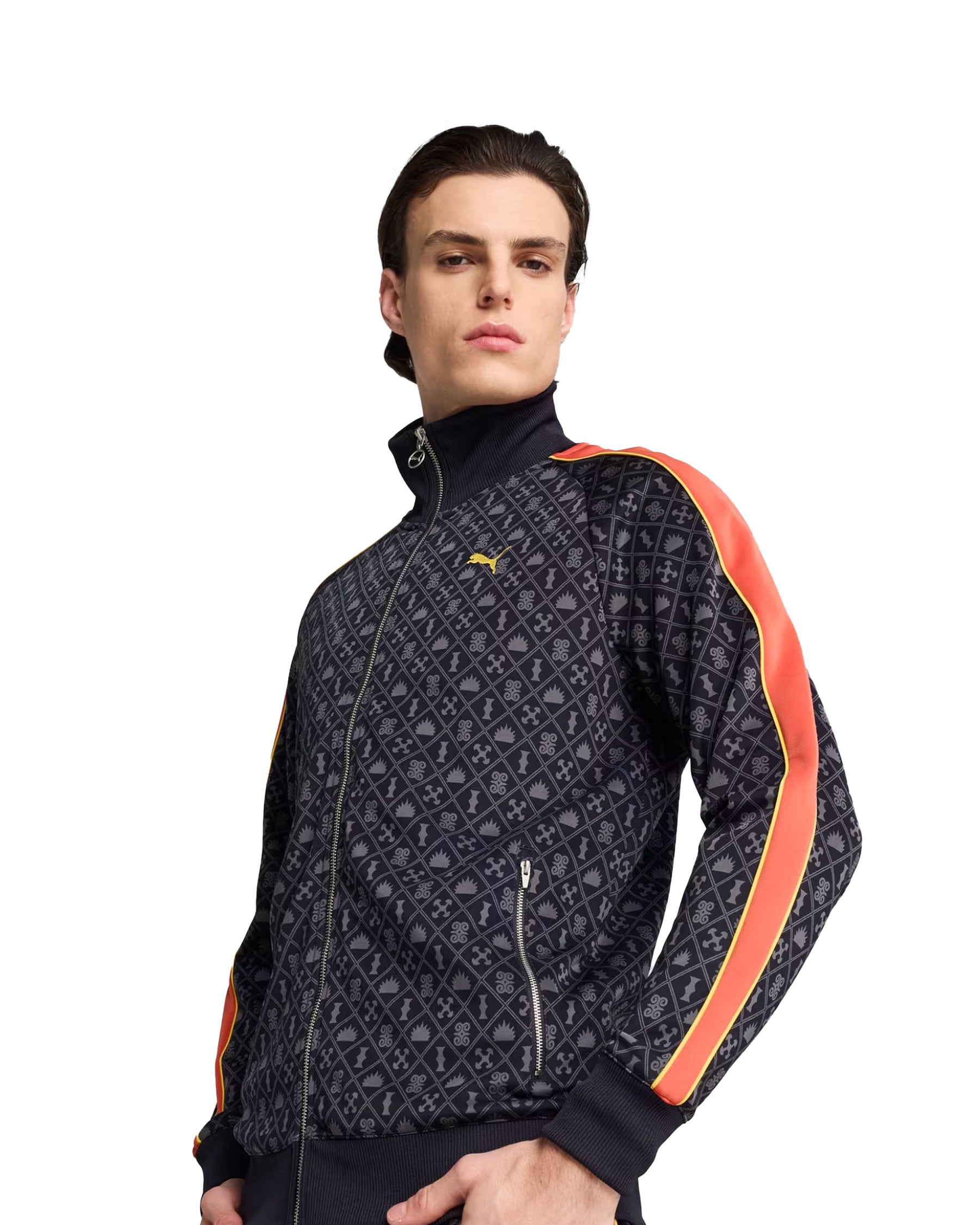 Man's Sweatshirt Puma Road To Unity Aop Blue