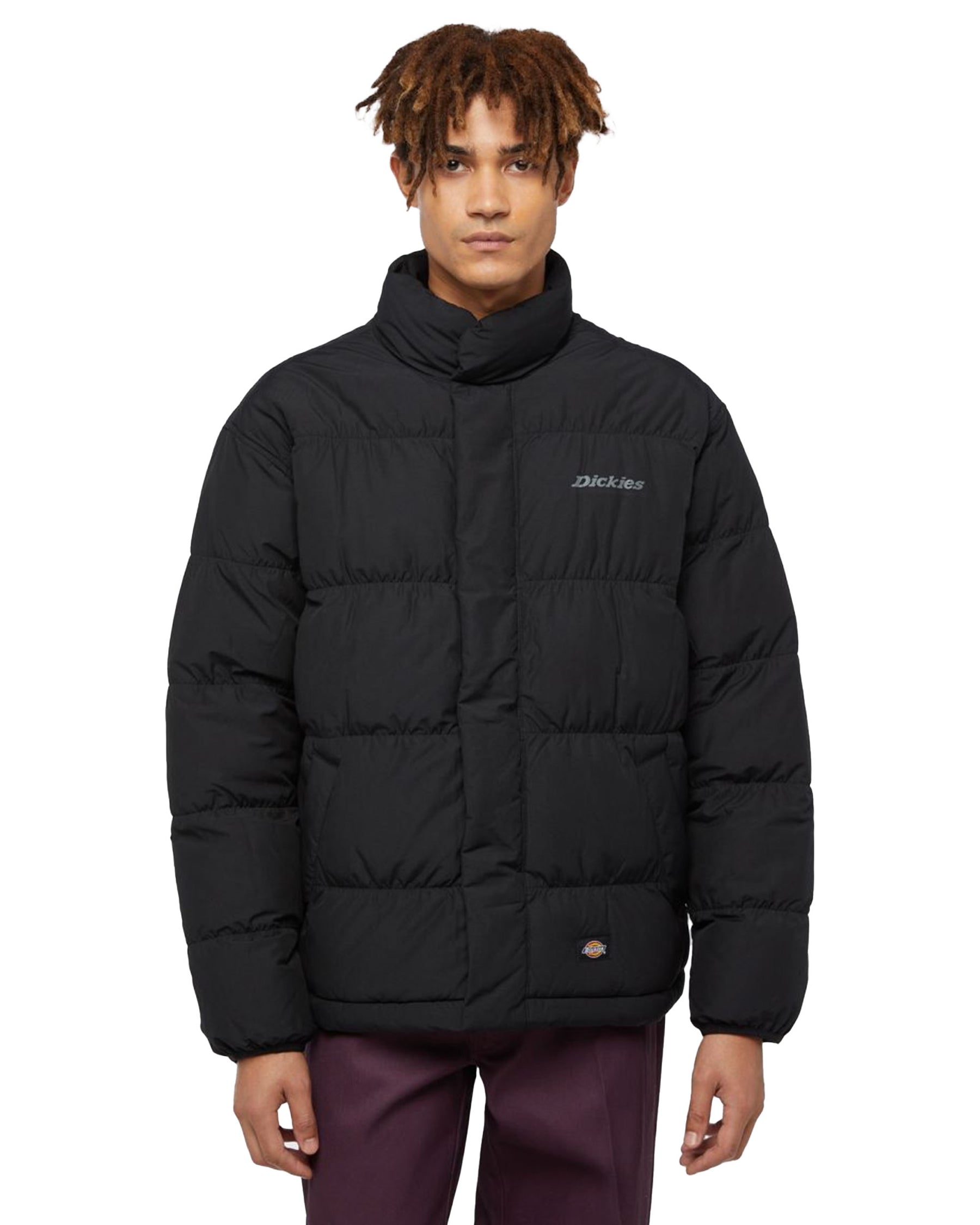 Man's Jackets Dickies Scobey Puffer Black