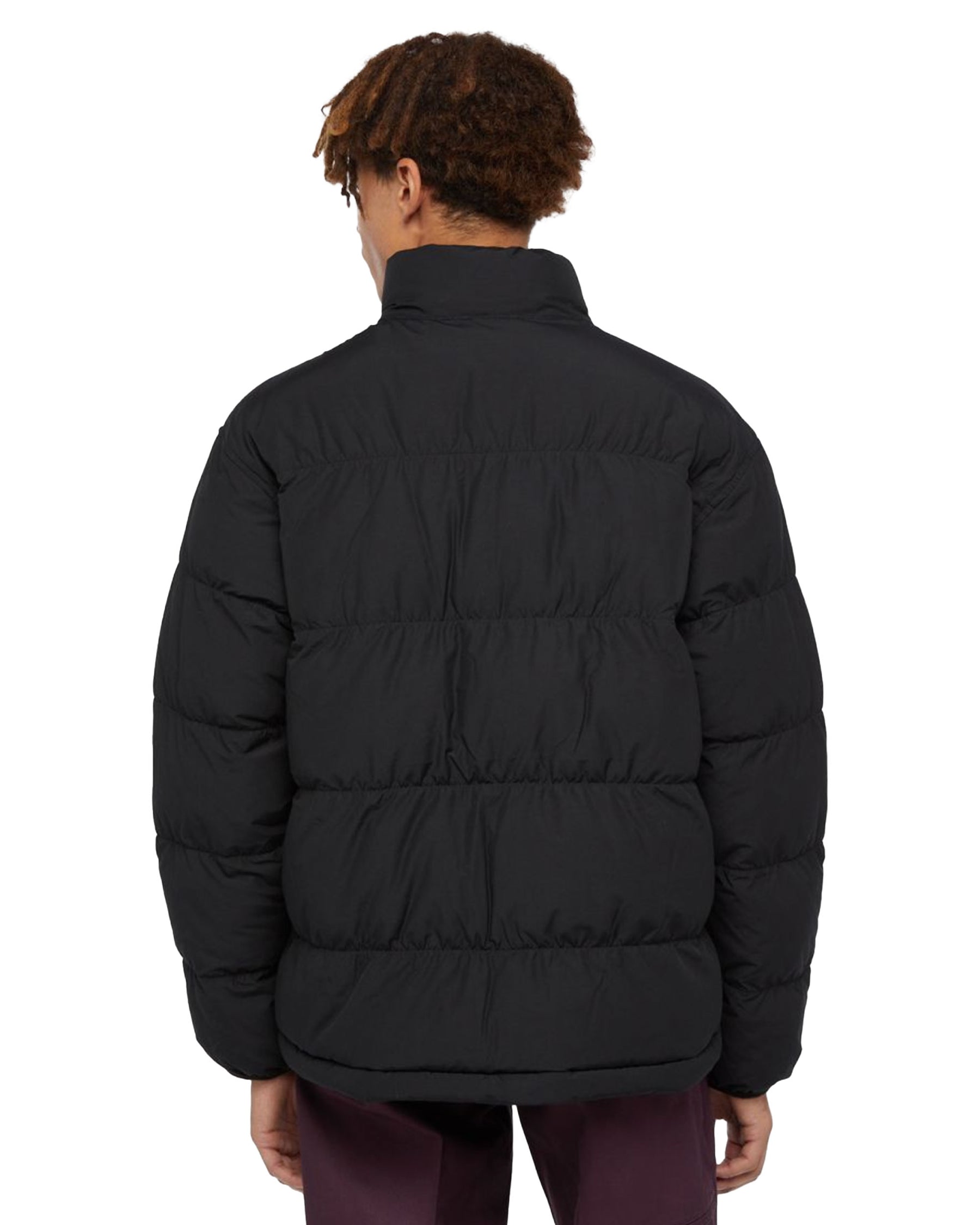 Man's Jackets Dickies Scobey Puffer Black