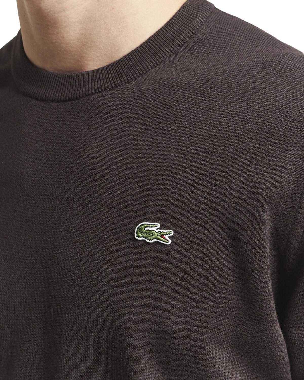 Maglione Uomo Lacoste Marrone