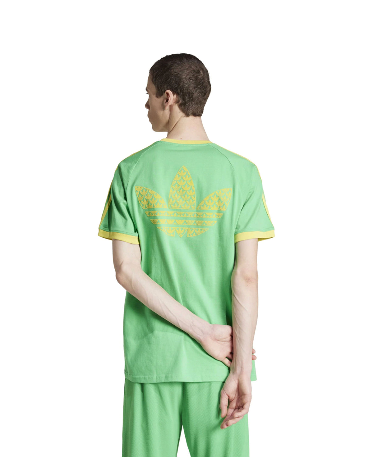 T-Shirt Adidas Monogram Cali Tee Enegrn Verde