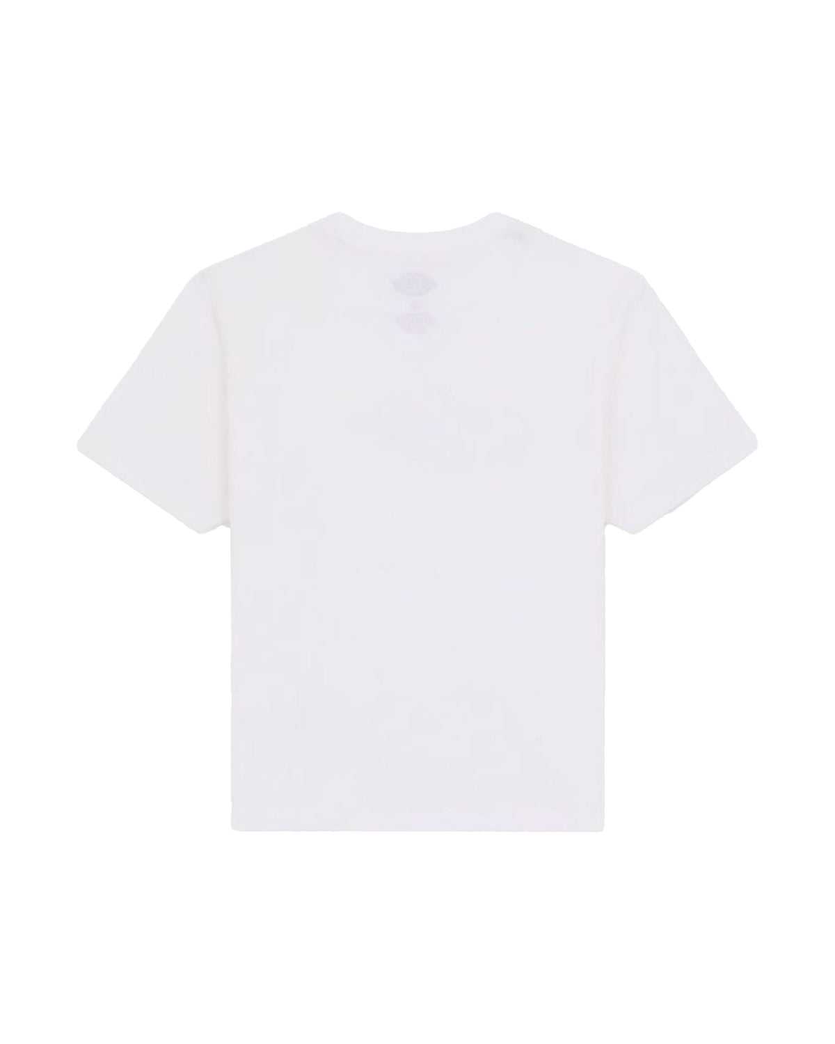 T-Shirt Donna Dickies Maple Valley Reg Tee W White
