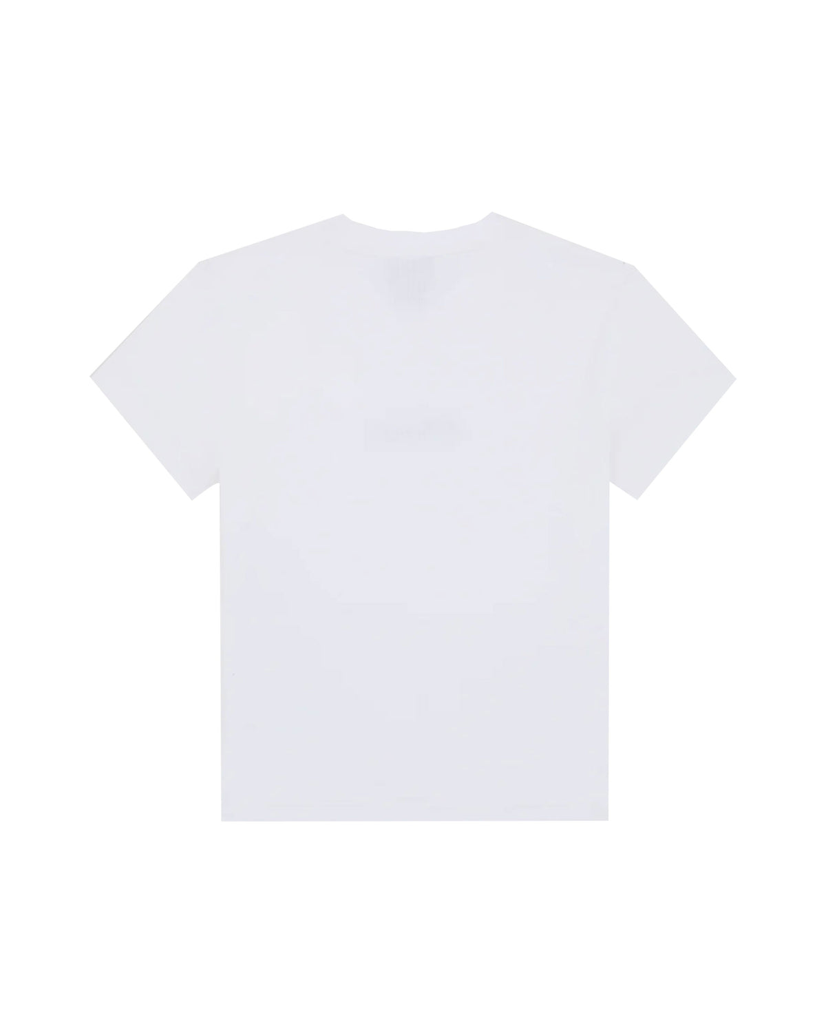 T-Shirt Donna Dickies Wellsville Ss Bianco