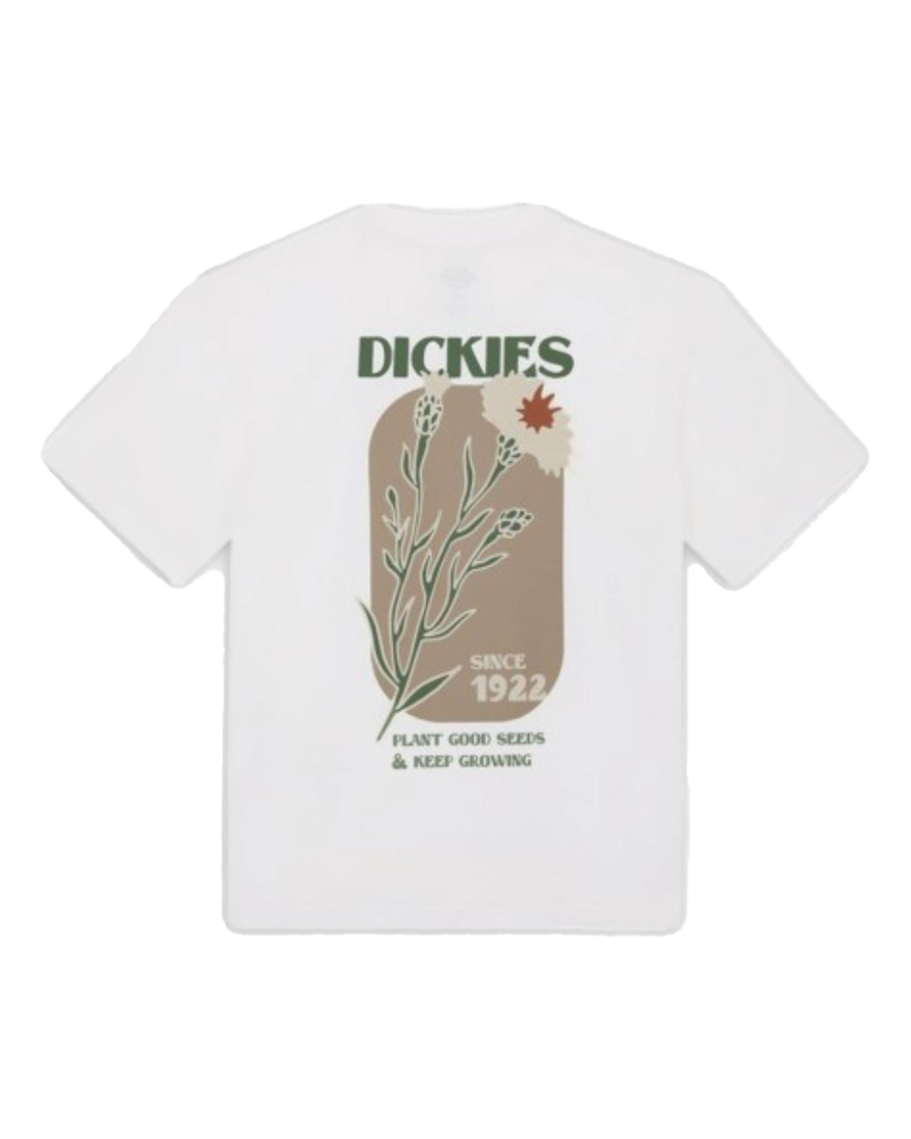 T-Shirt Uomo Dickies Herndon White