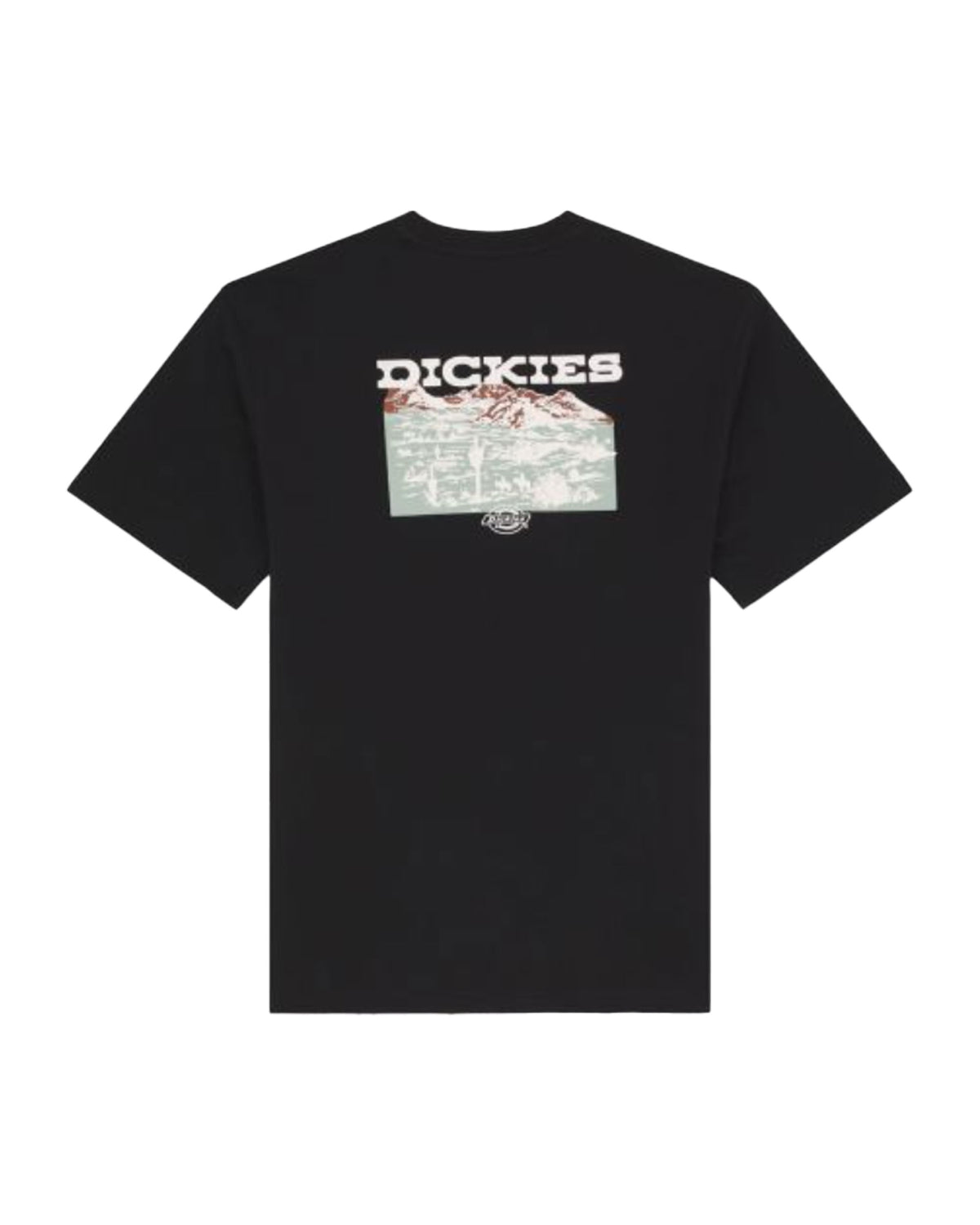 T-Shirt Uomo Dickies Landascape Tee Black