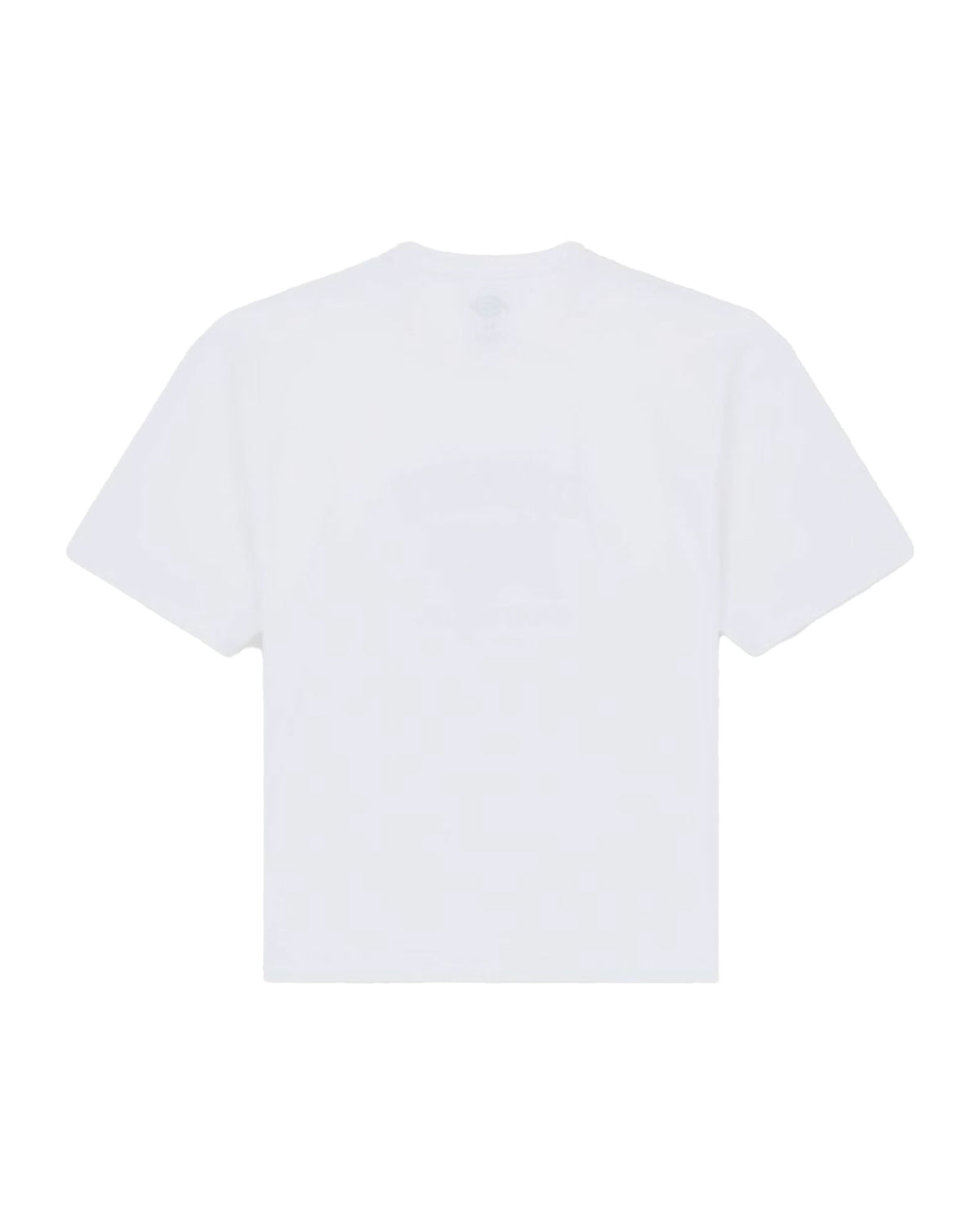 T-Shirt Uomo Dickies Laundry Boxy Ss Tee White