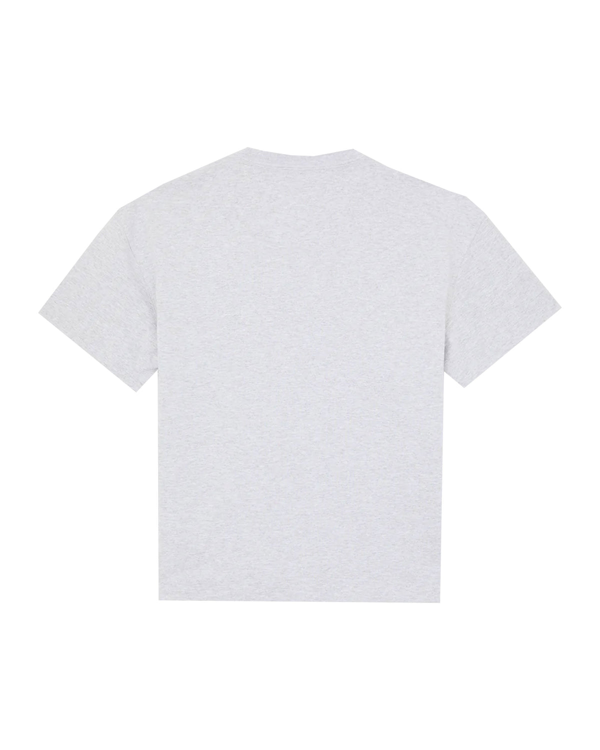T-Shirt Uomo Dickies Mineral Heavyweight Grigio Chiaro