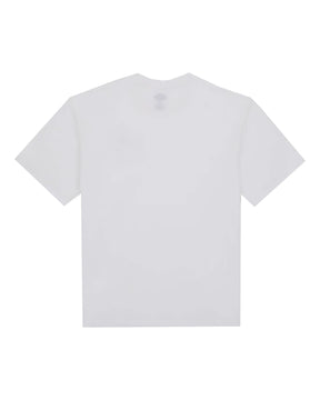 T-Shirt Uomo Dickies Saltville Tee Bianco
