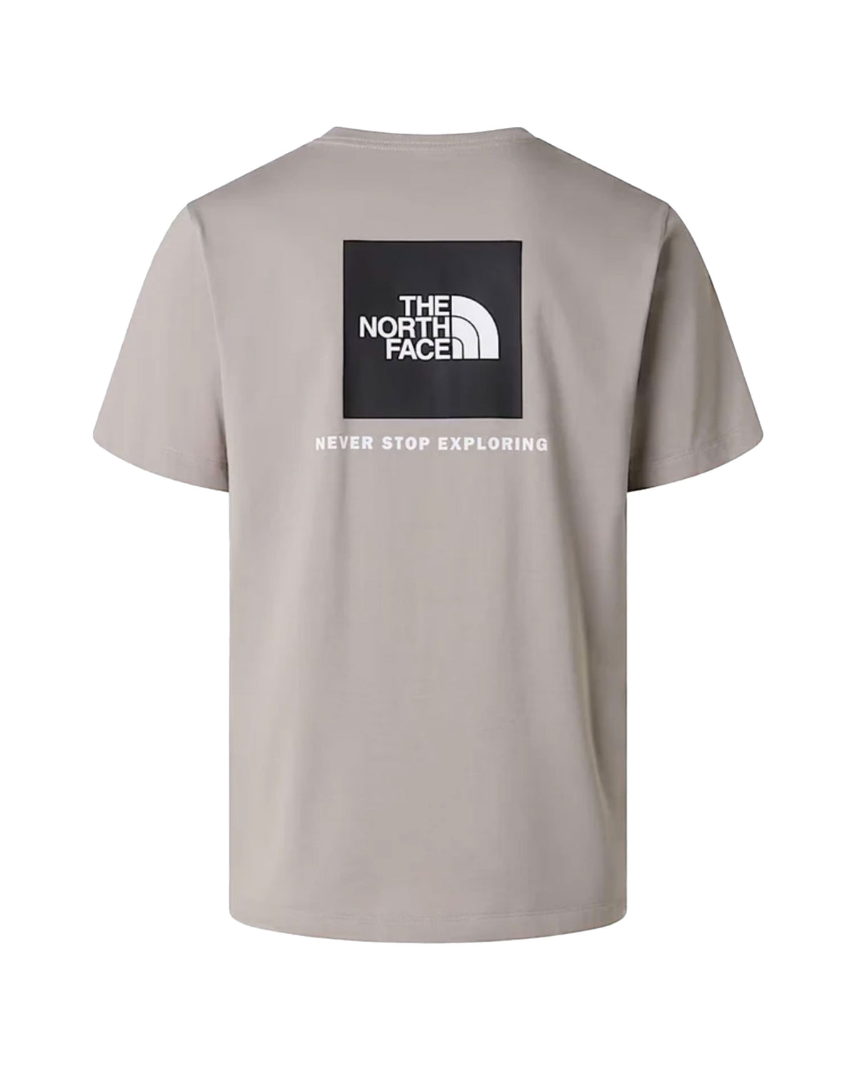 T-Shirt Uomo The North Face Evolution Box Nse Grigio