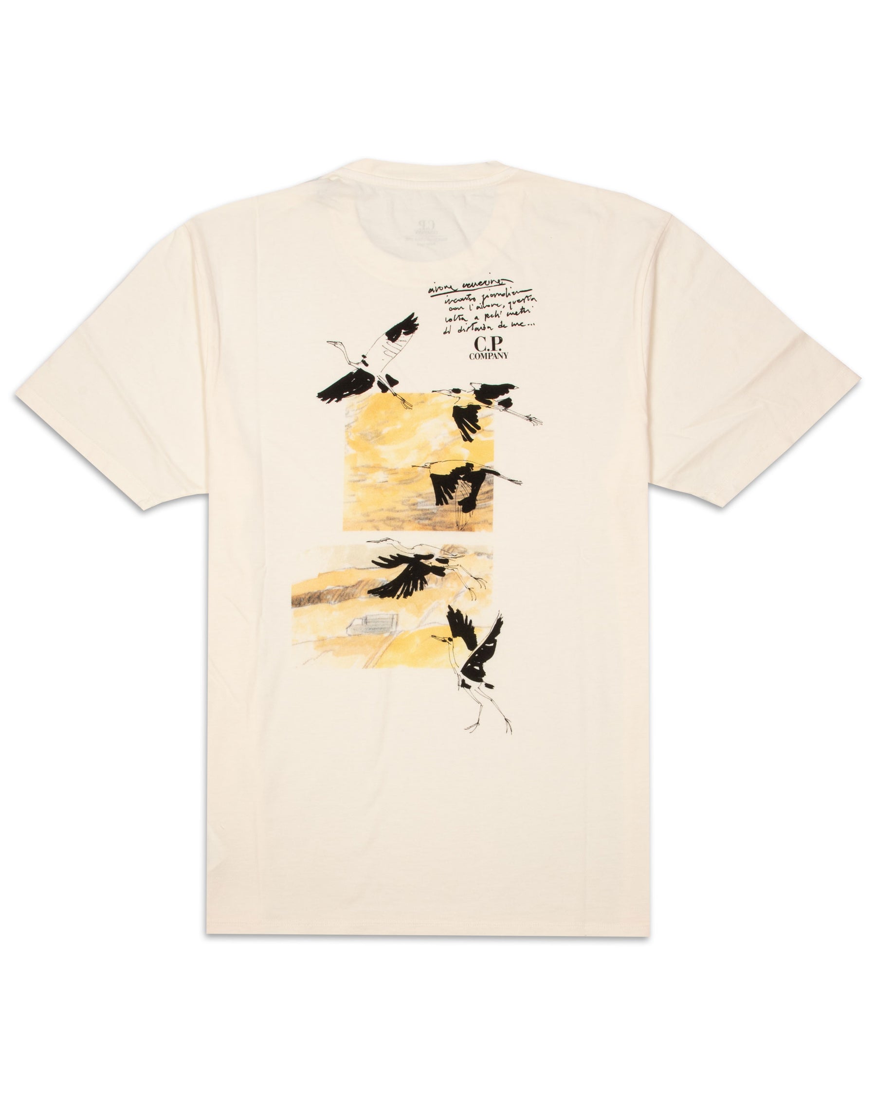 Jersey Sketch Graphic T-shirt Bianco 12CMTS312A-005431G-115