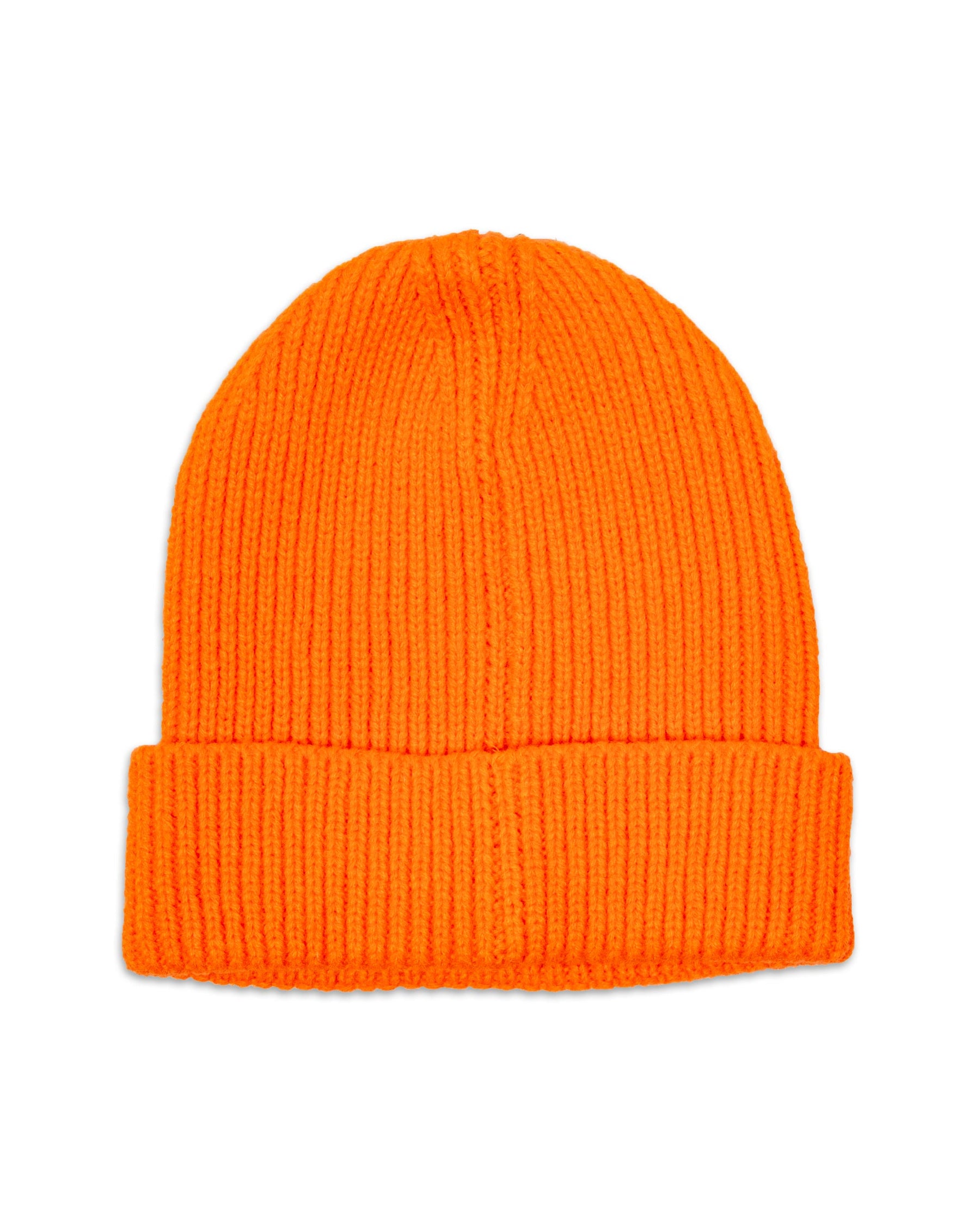 Cappello Beanie The North Face NF0A3FJXA6M1