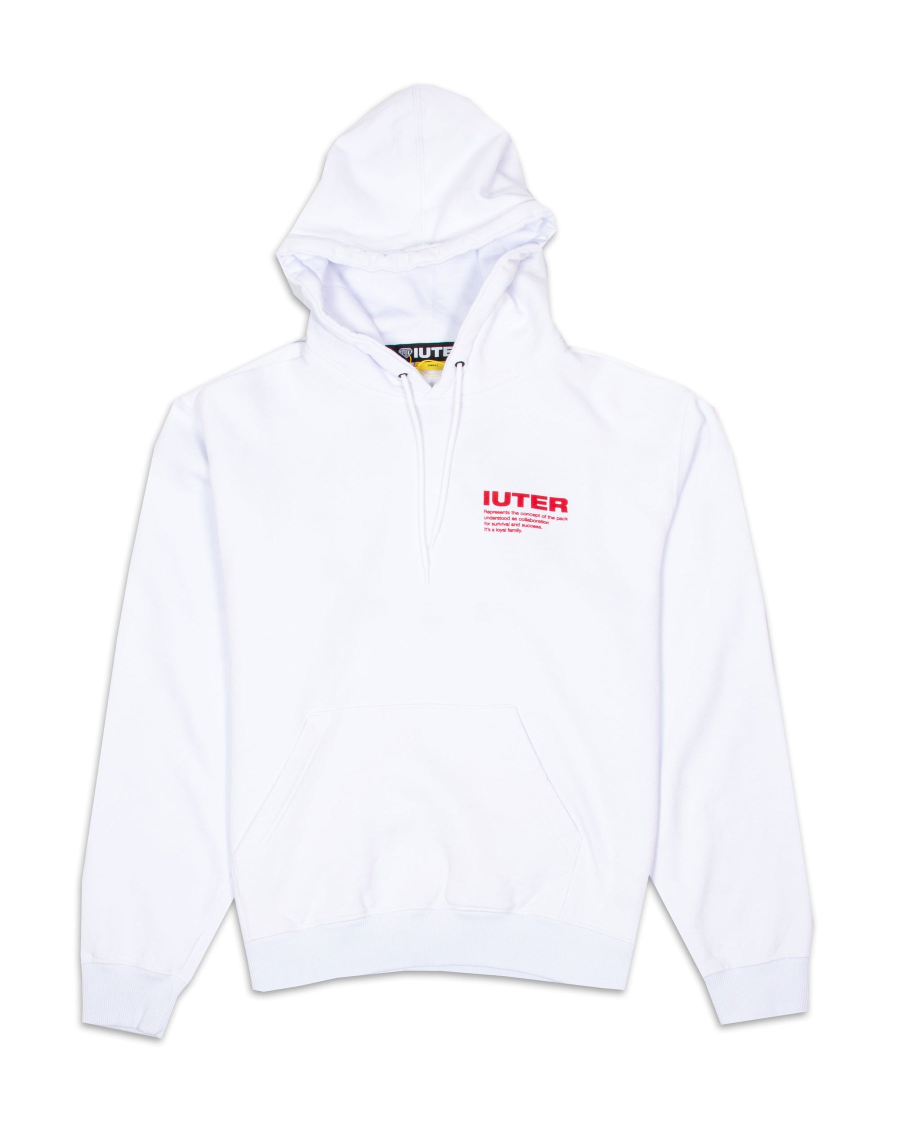 Felpa Iuter Info Hoodie 21WISH09-BIANCO