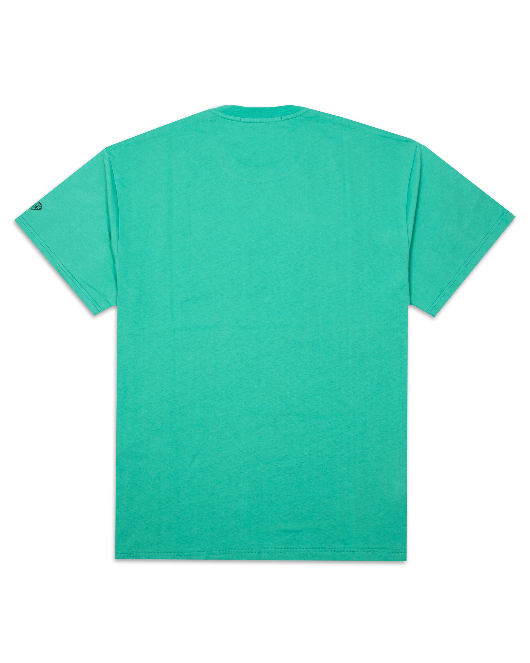 Carrots Racing T-Shirt Uomo 22SITS66-Emerald