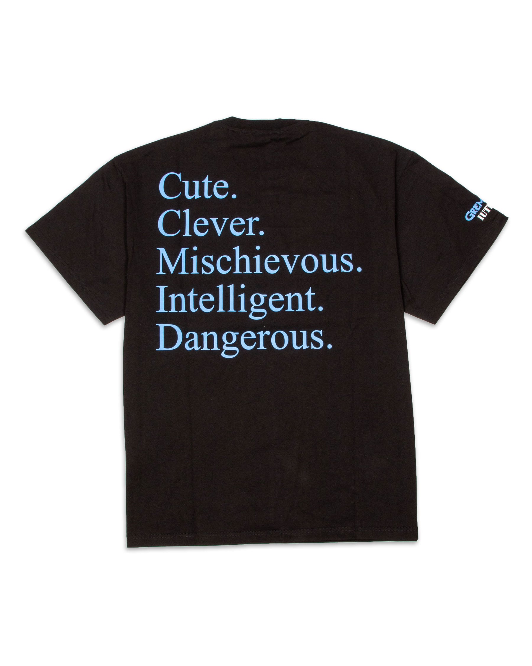 Iuter Gremlins Cute Tee 22SITS63-BLACK