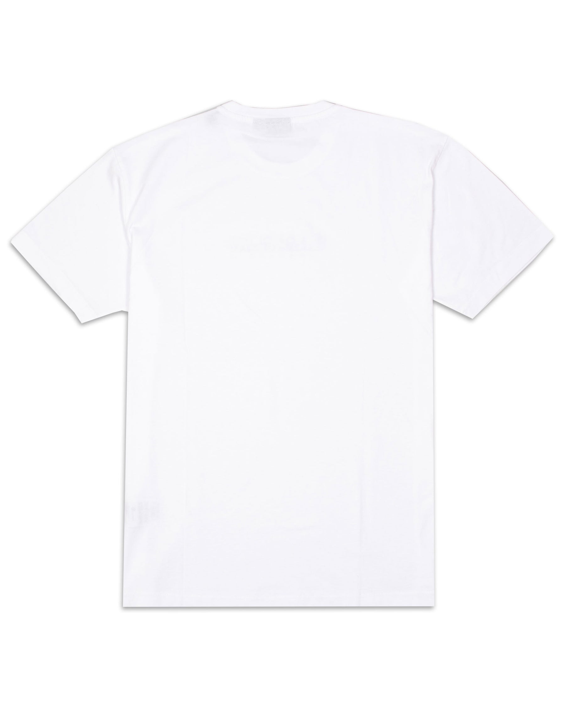 S Box Tee Bianco NP0A4GDR0021