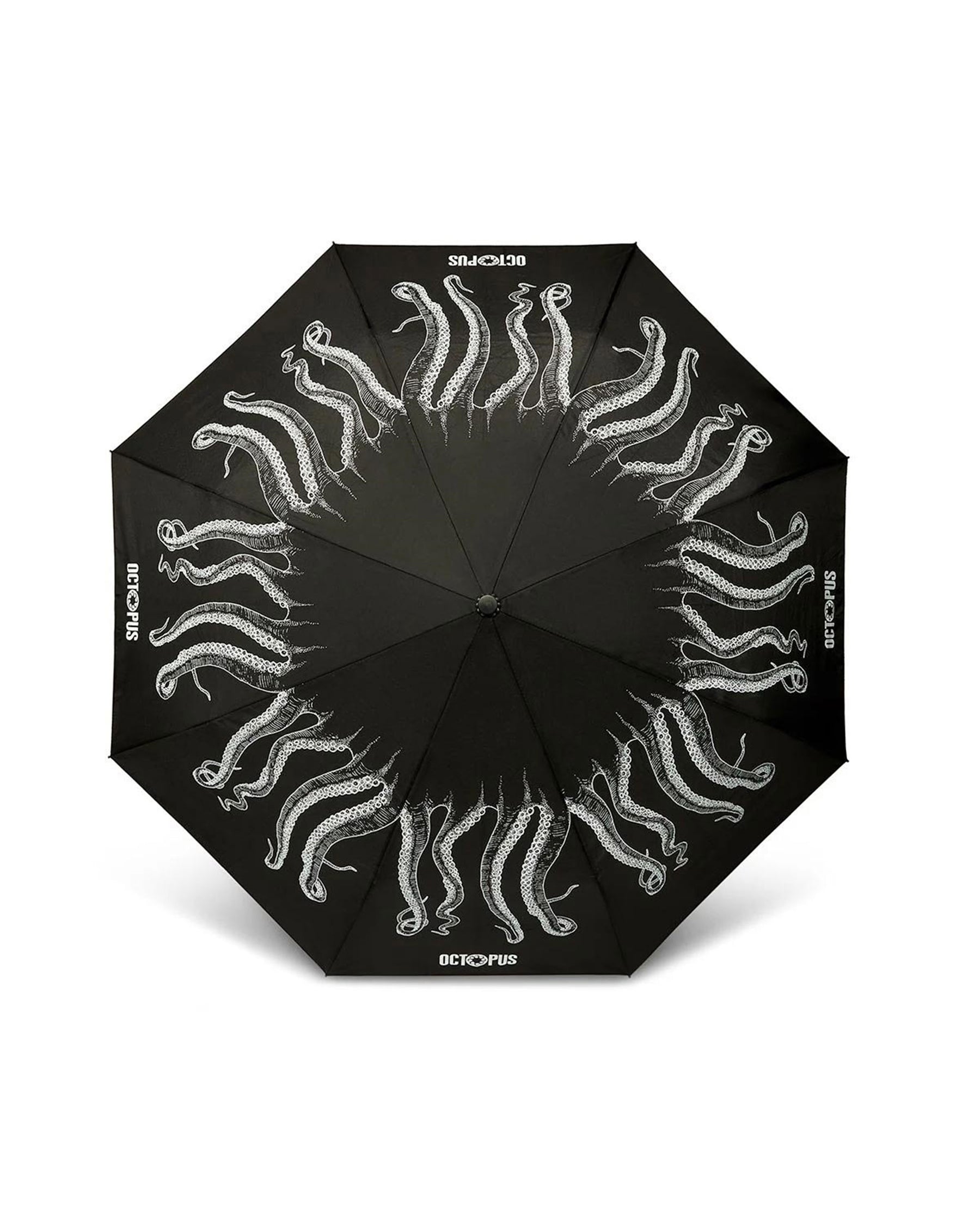 Ombrello Octopus Outline Umbrella CRVROAC03