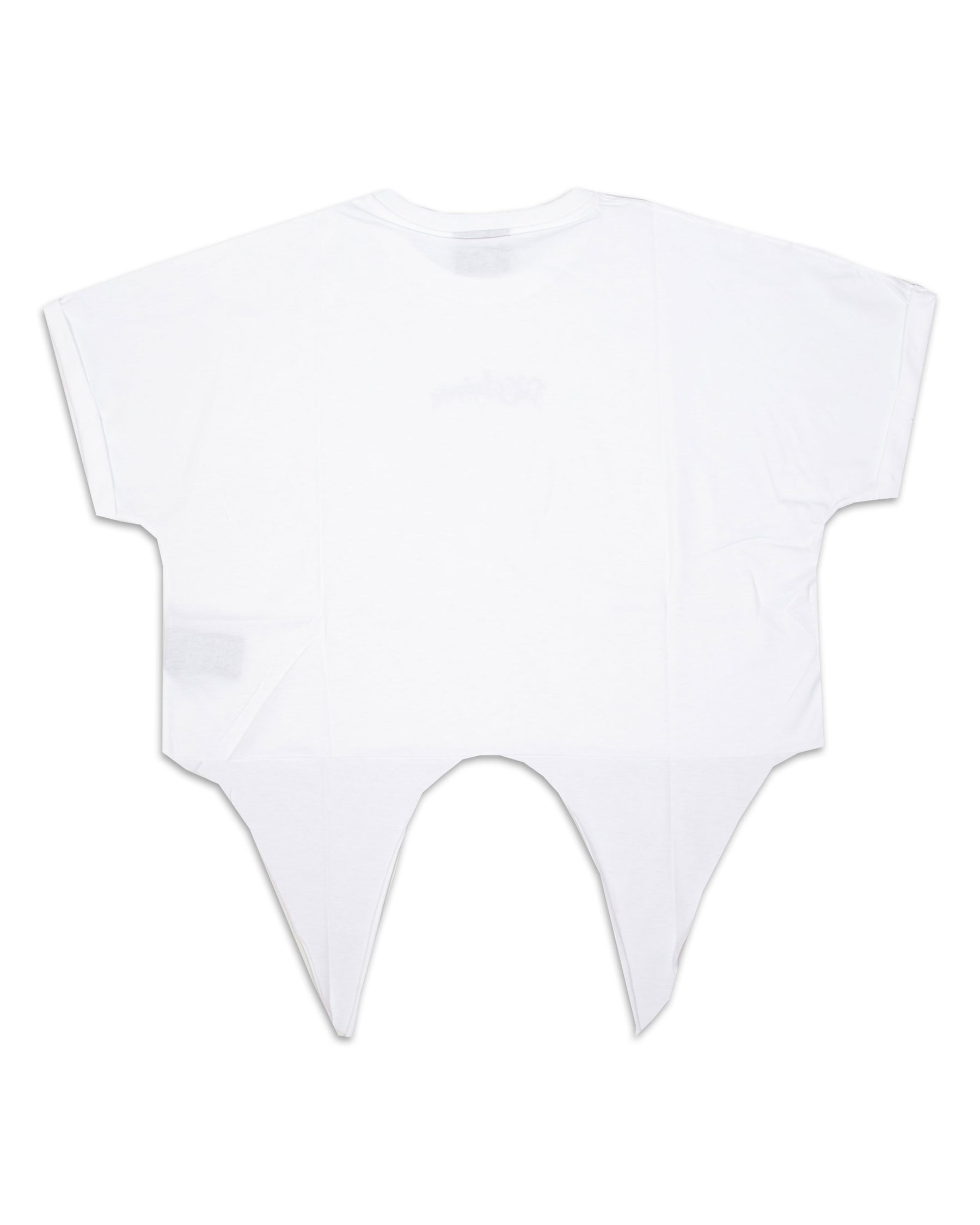 T-Shirt Crop Donna Disclaimer Bianco
