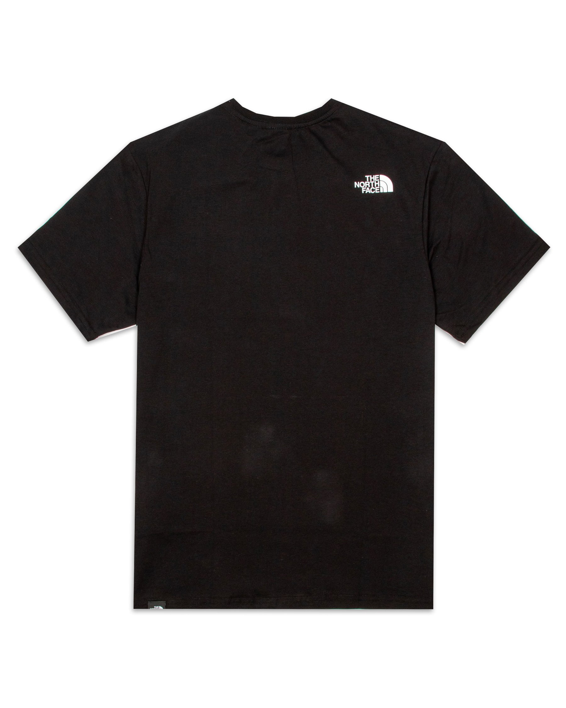 The Nort Face Fine Alpine Tee NF0A4SZUJK31