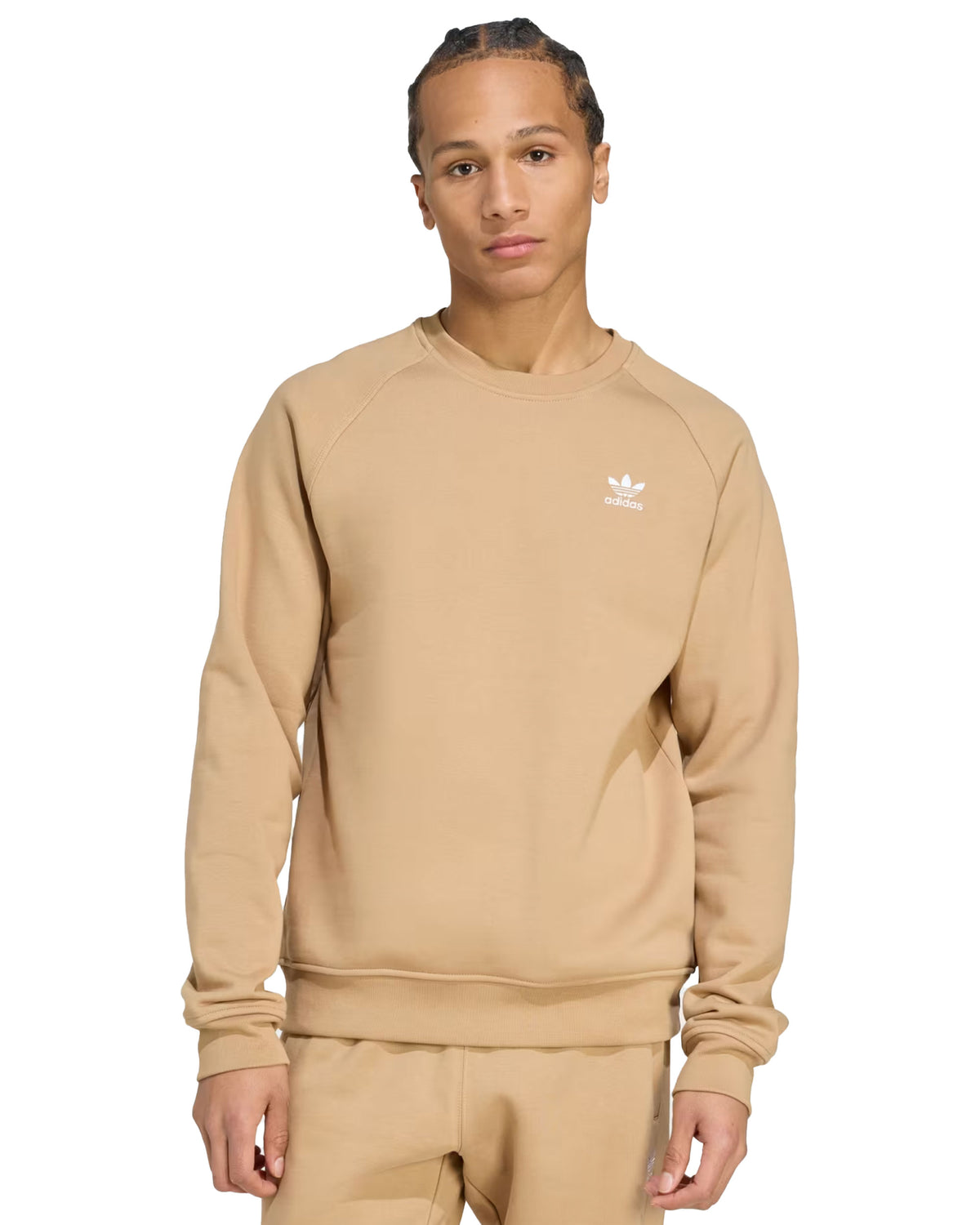 Felpa Uomo Adidas Basic Logo Marrone