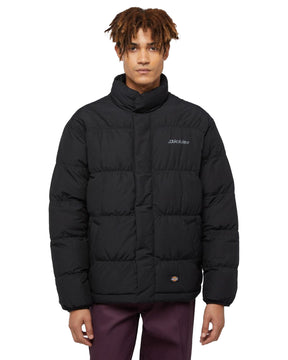 Man's Jackets Dickies Scobey Puffer Black