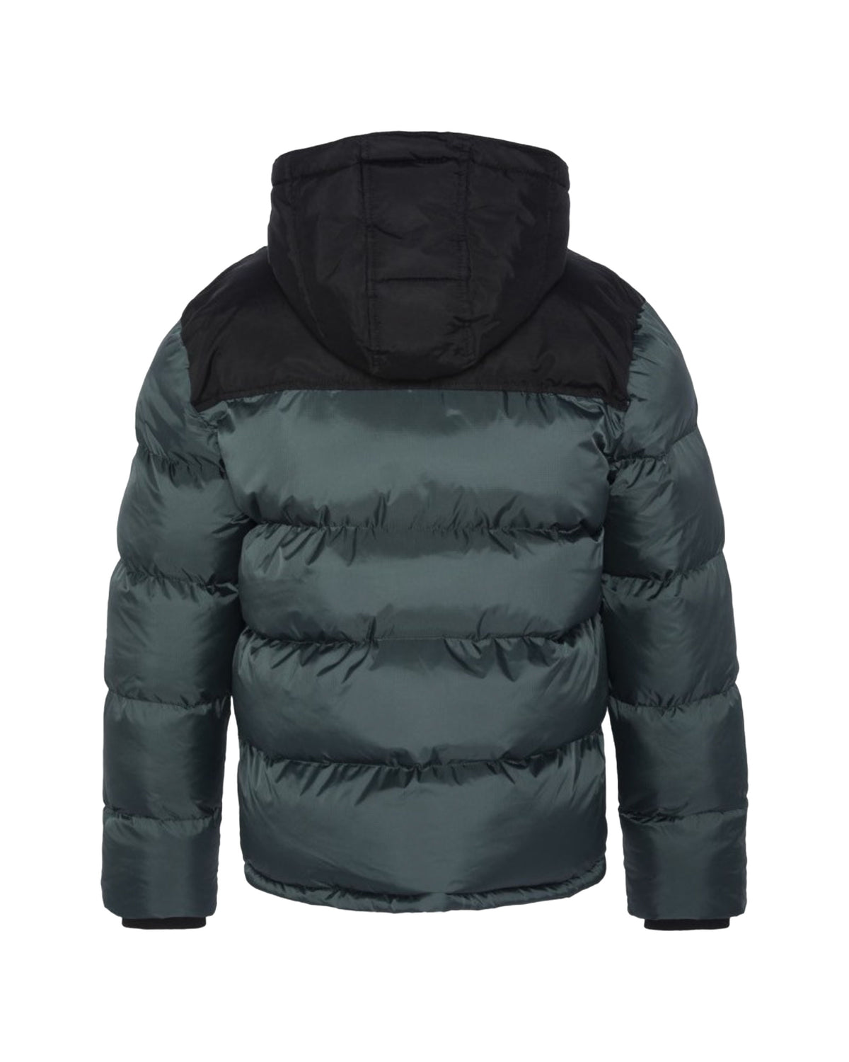 Giubbino Schott Nyc Utah 2 Anthracite