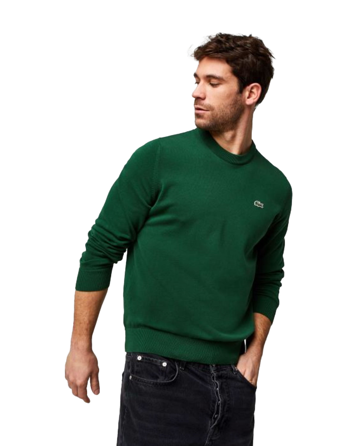 Man Sweater Lacoste Classic Logo Green