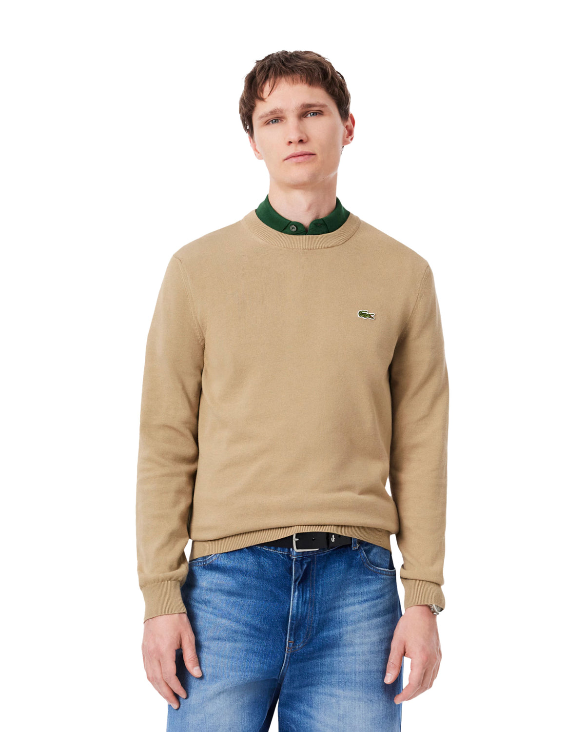 Maglione Uomo Lacoste Cotone Beige