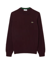 Maglione Uomo Lacoste Cotone Bordeaux