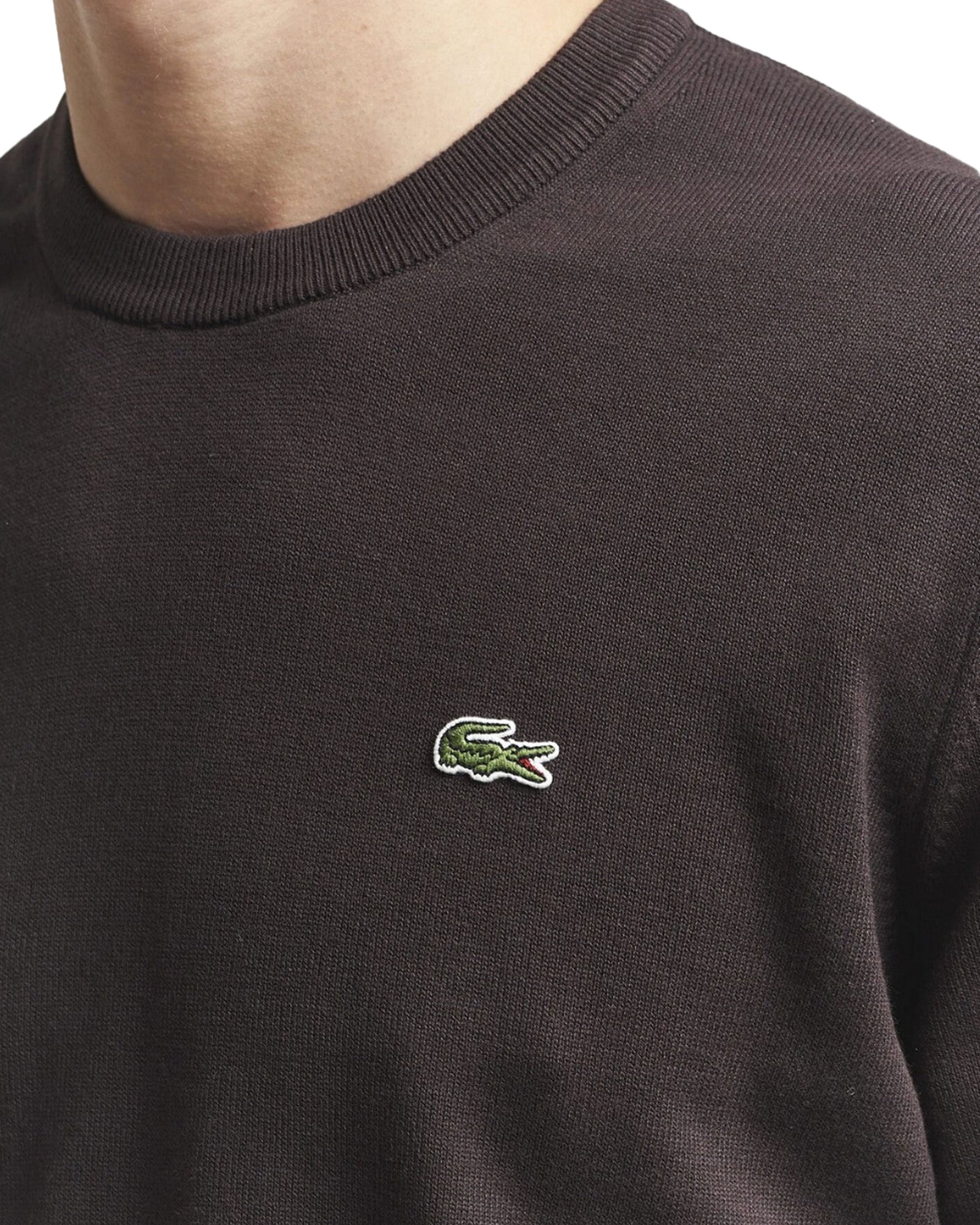 Maglione Uomo Lacoste Marrone