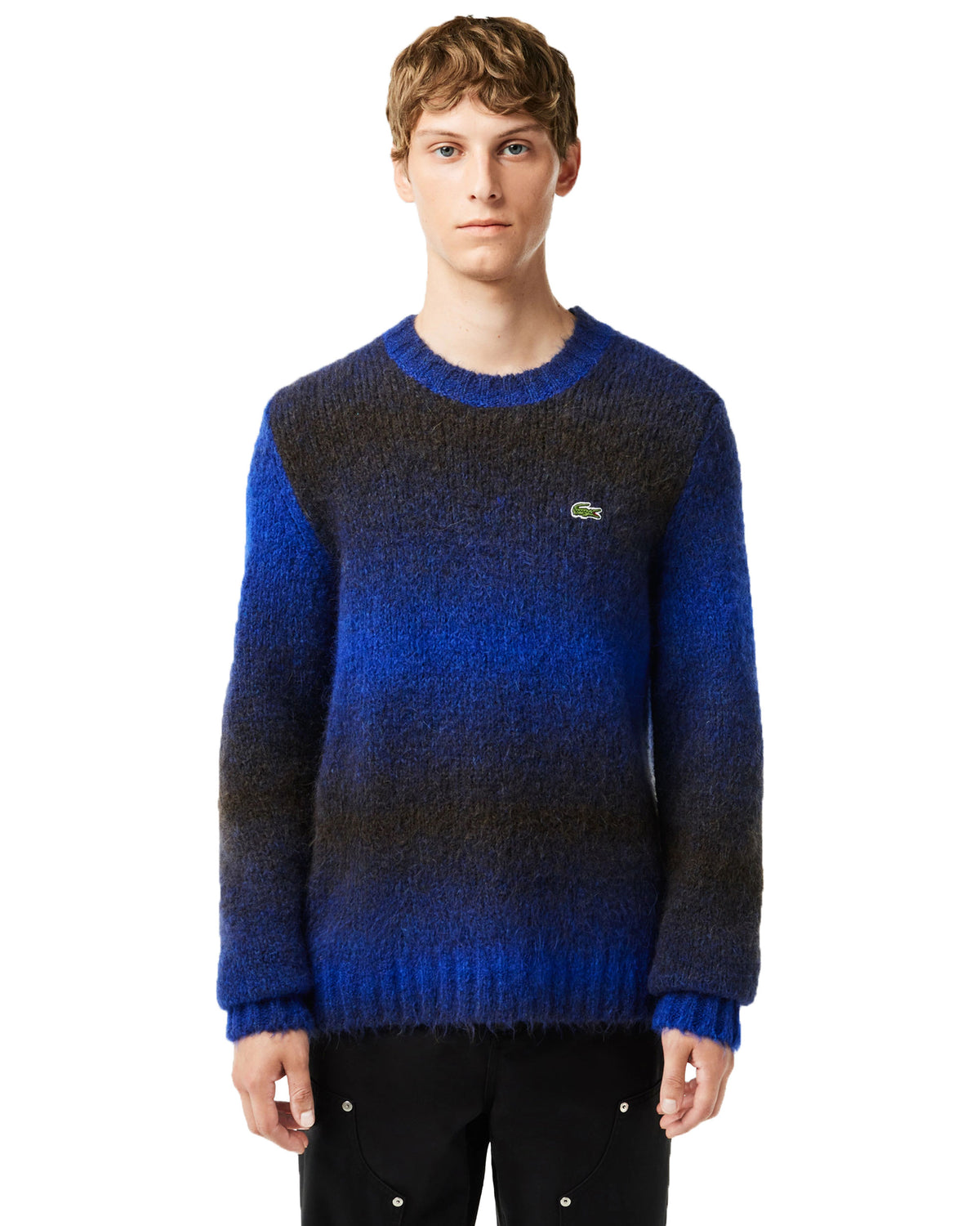 Man Sweater Alpaca Lacoste Blue