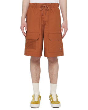 Shorts Uomo Dickies Fishersville Mocha Bisque