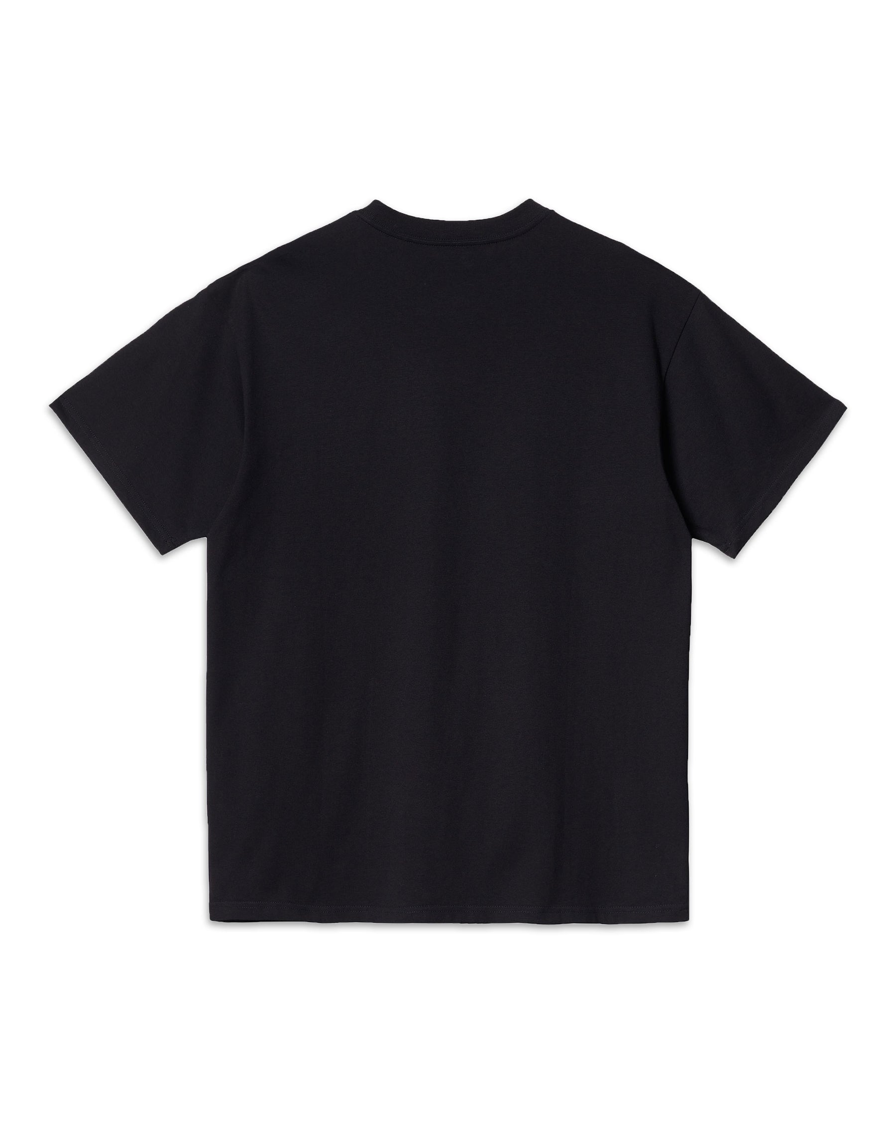 T-Shirt Carhartt American Script I029956-89XX