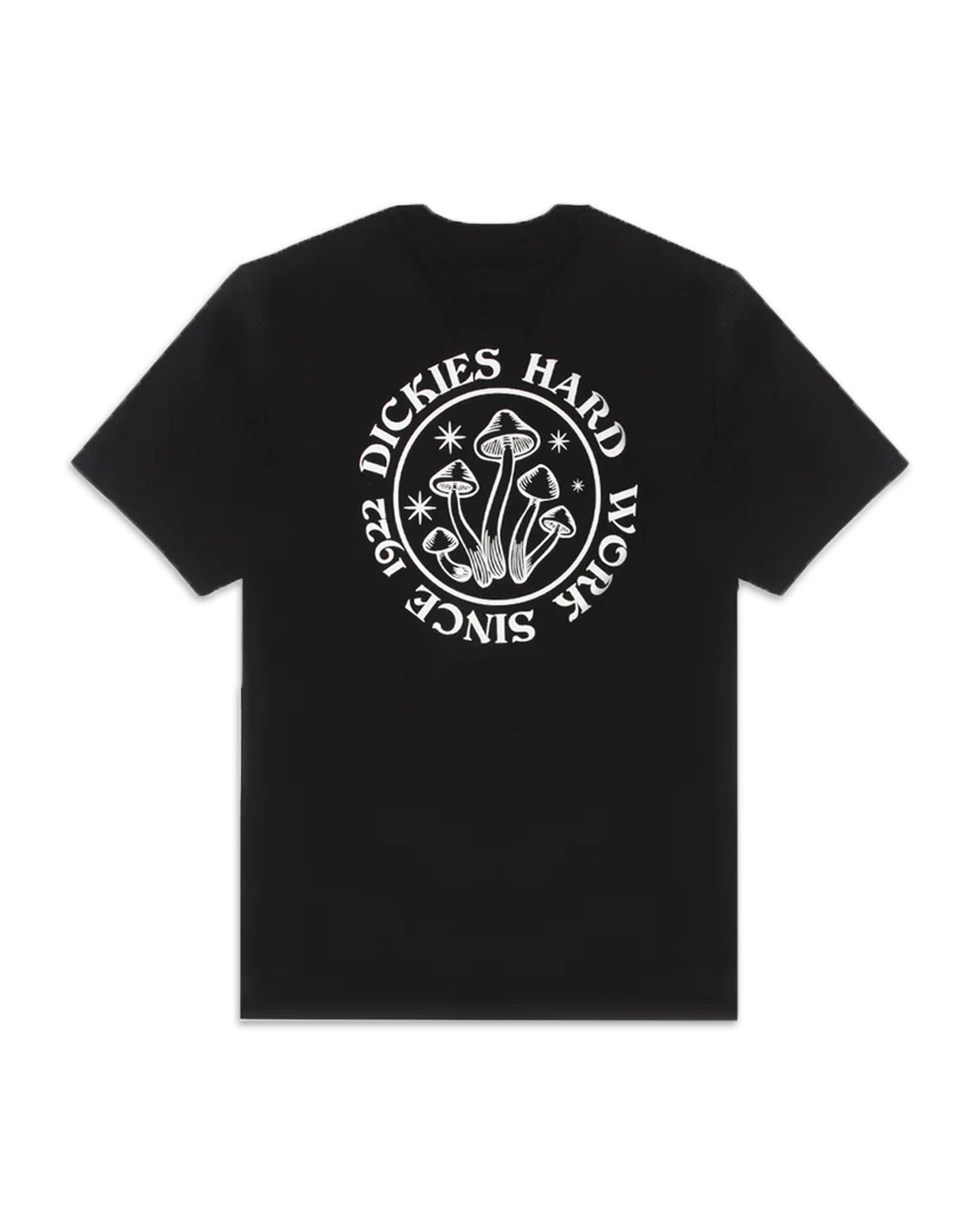 T-Shirt Uomo Dickies Bayside Gardens Tee Black