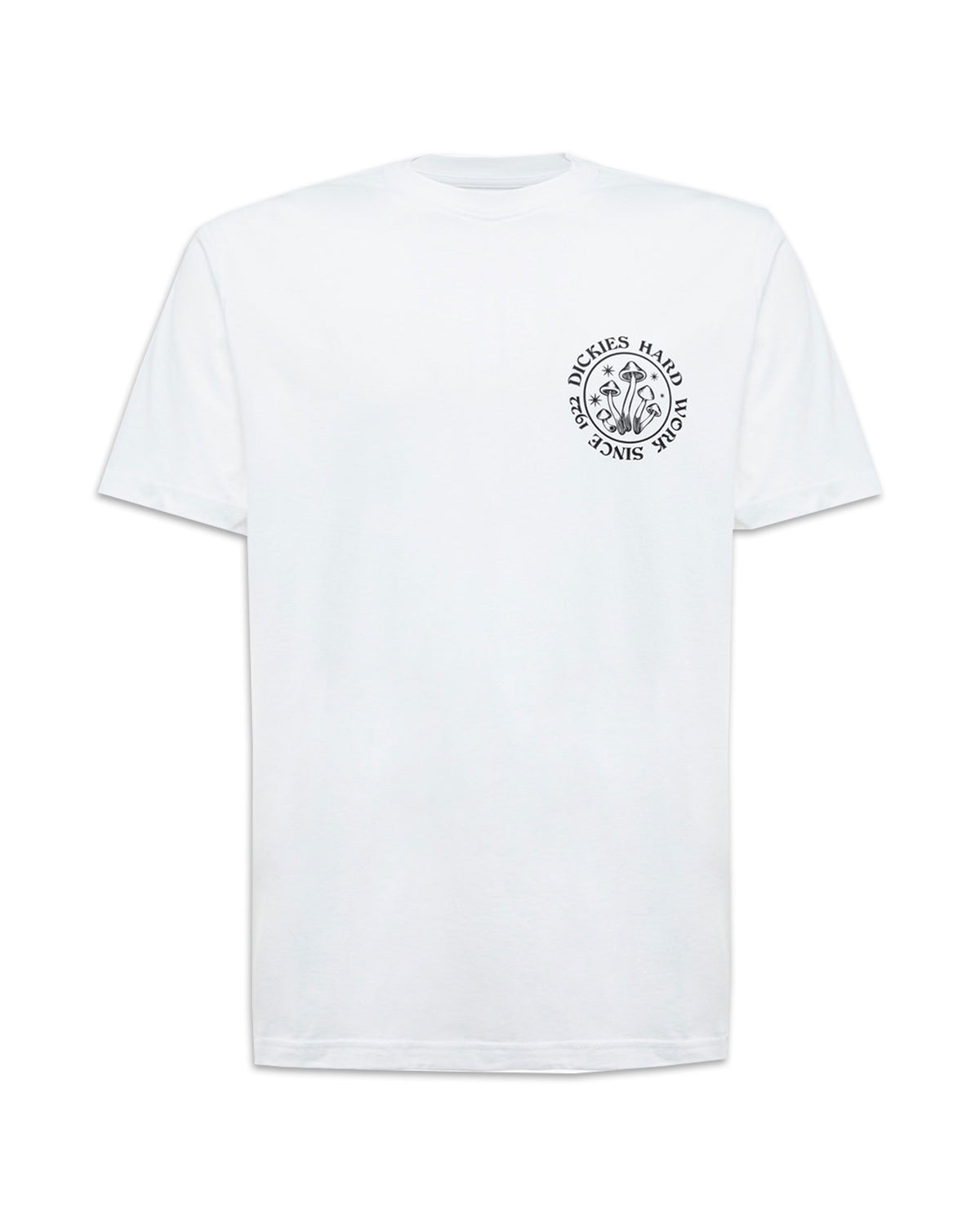 Man Tee Dickies Bayside Gardens White