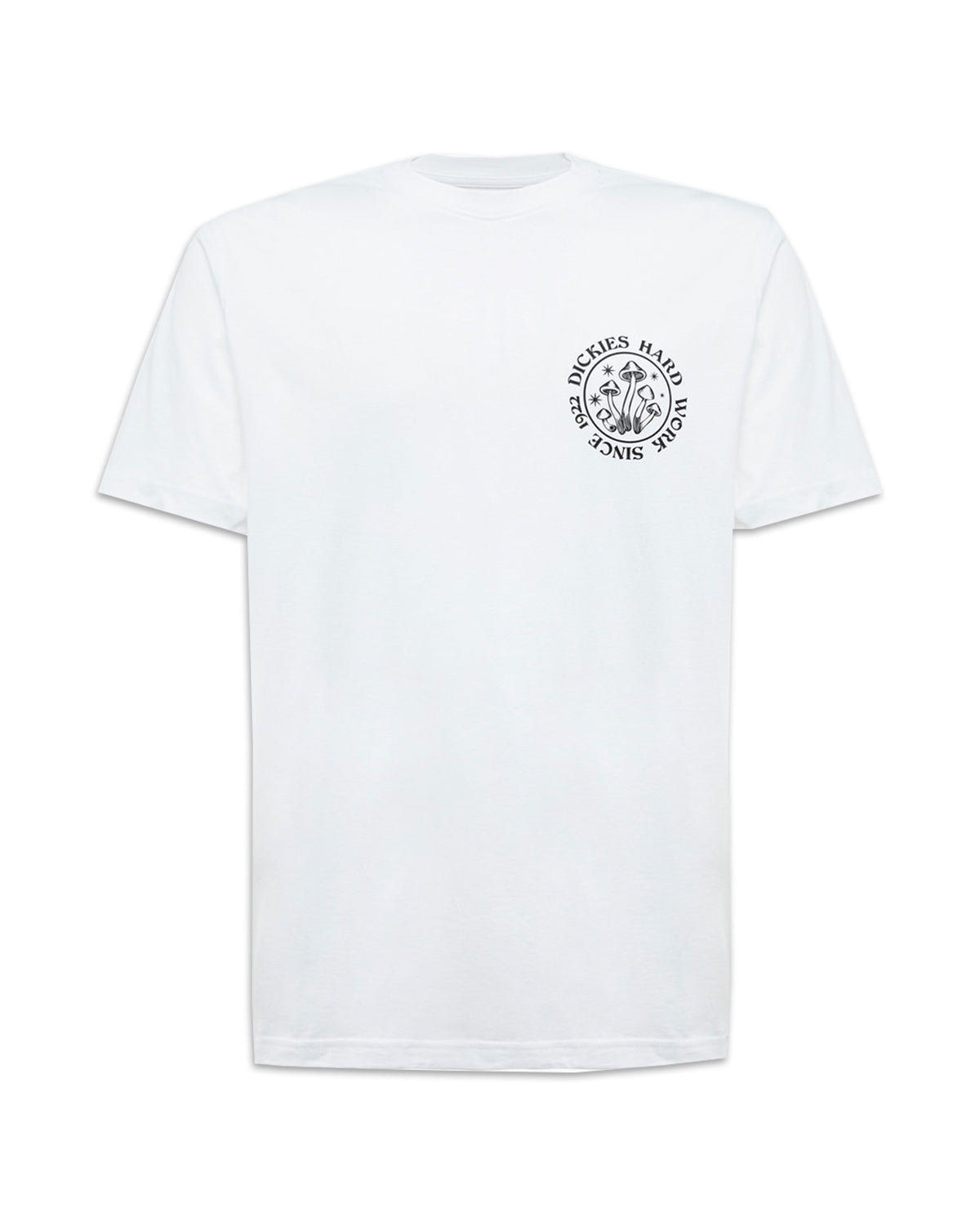 T-Shirt Uomo Dickies Bayside Gardens Tee White