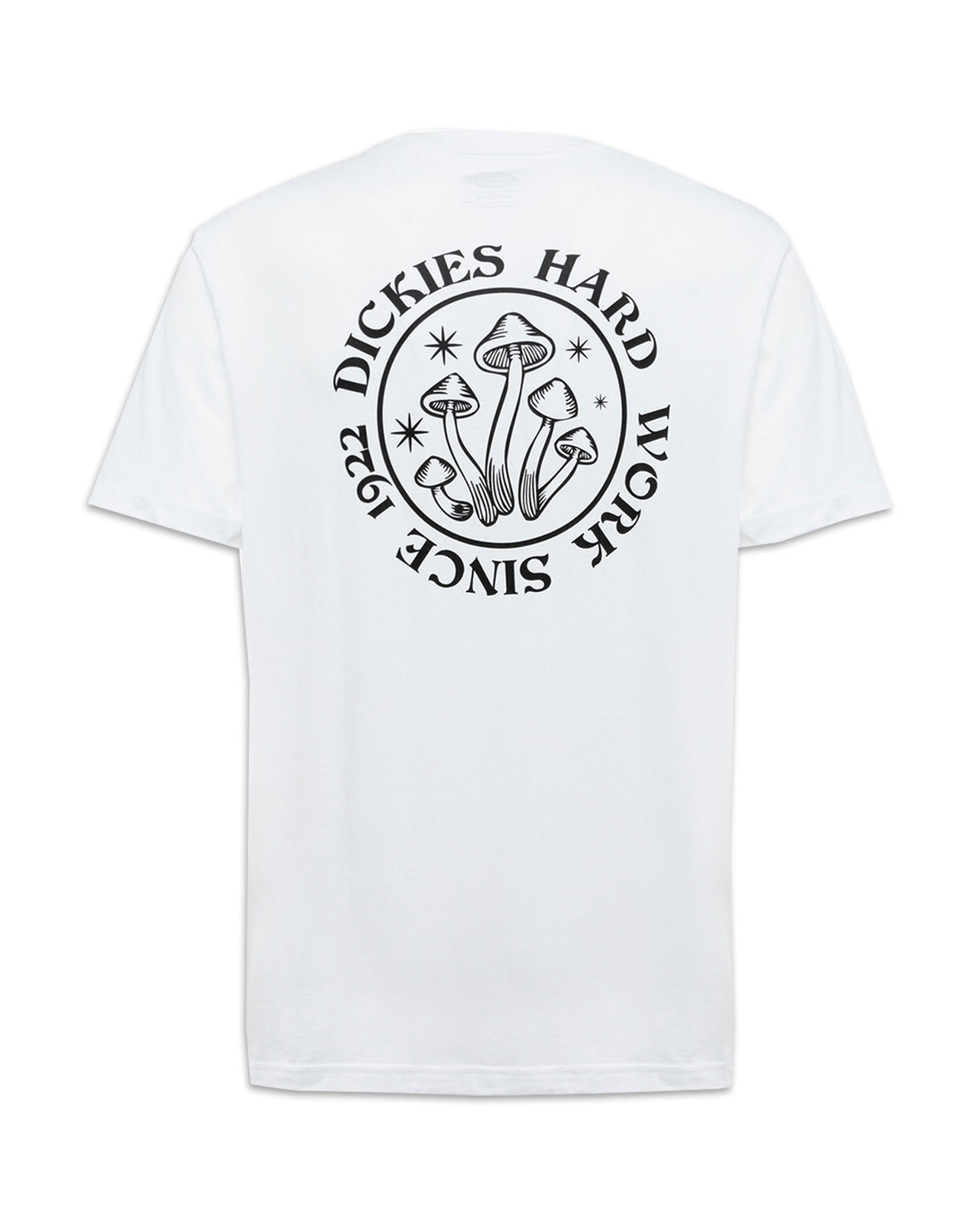 Man Tee Dickies Bayside Gardens White