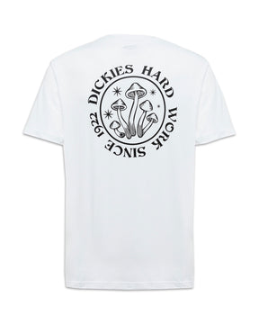 T-Shirt Uomo Dickies Bayside Gardens Tee White