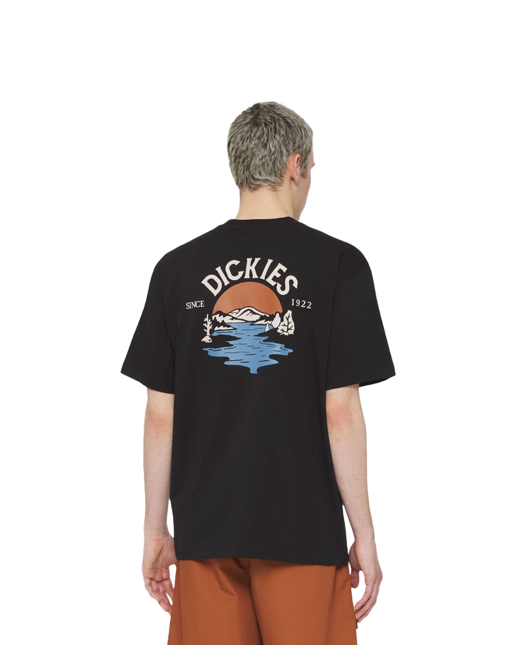 T-Shirt Uomo Dickies Beach Black