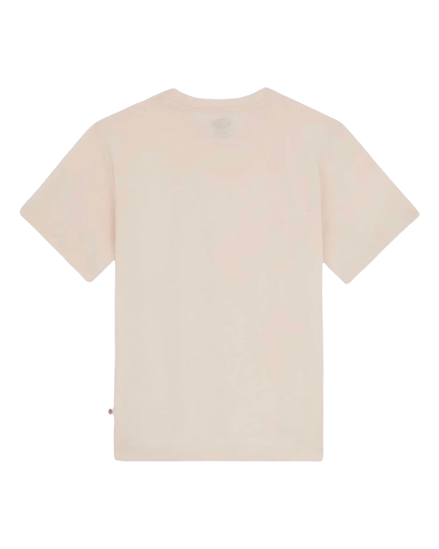 T-Shirt Uomo Dickies Mapleton Whitecap Gray