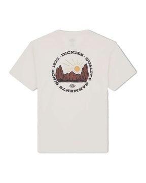 Man Tee Dickies Outdoor Ss Egret