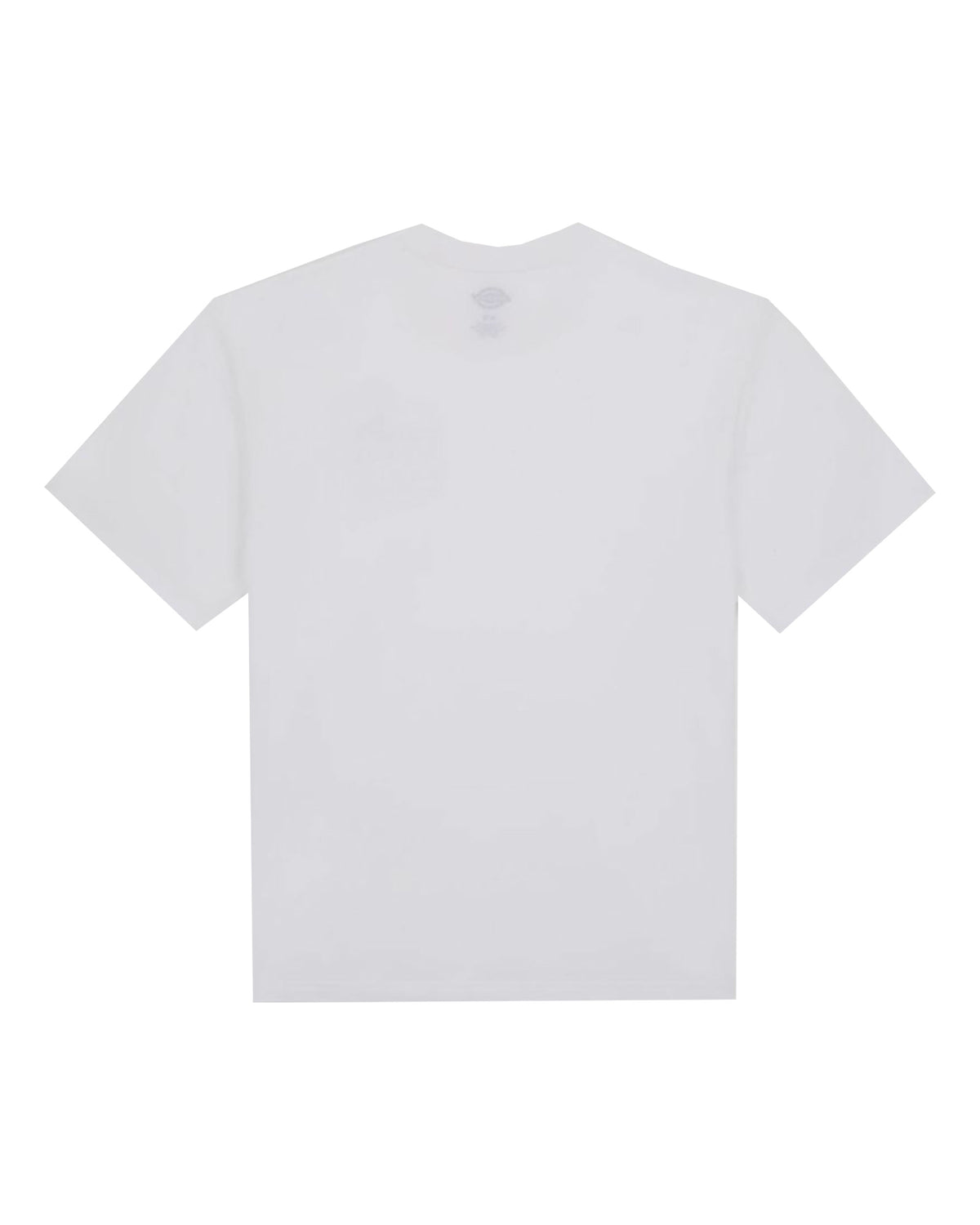 Man Tee Dickies Saltville White