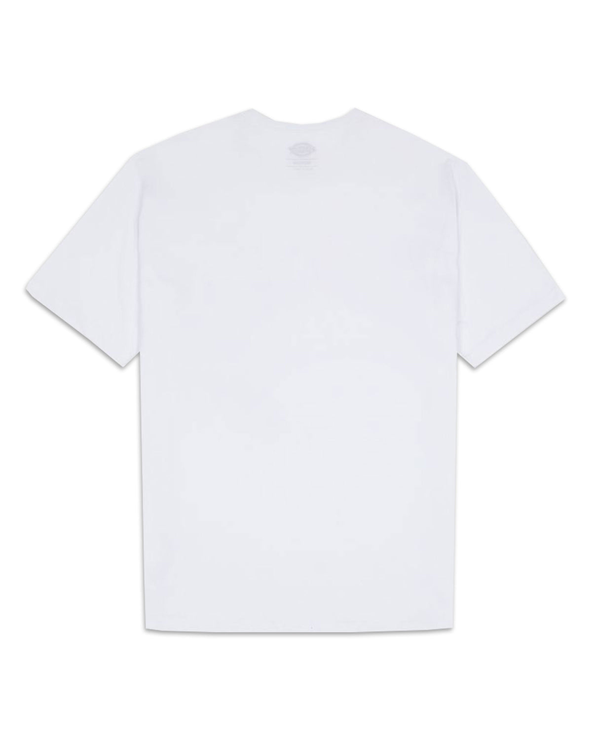 Man Tee Dickies Summerdale White