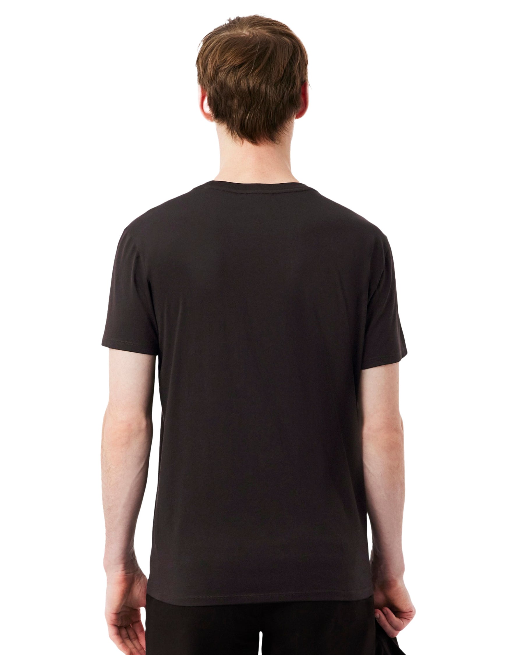 T-Shirt Uomo Lacoste Cotone Pima Marrone