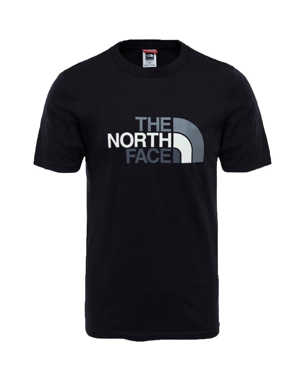 Man Tee The North Face Big Logo Black