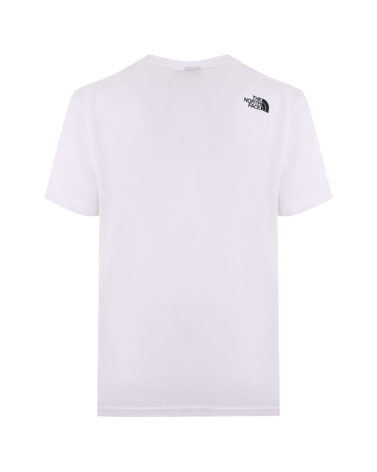 T-Shirt Uomo The North Face Box Logo Bianco
