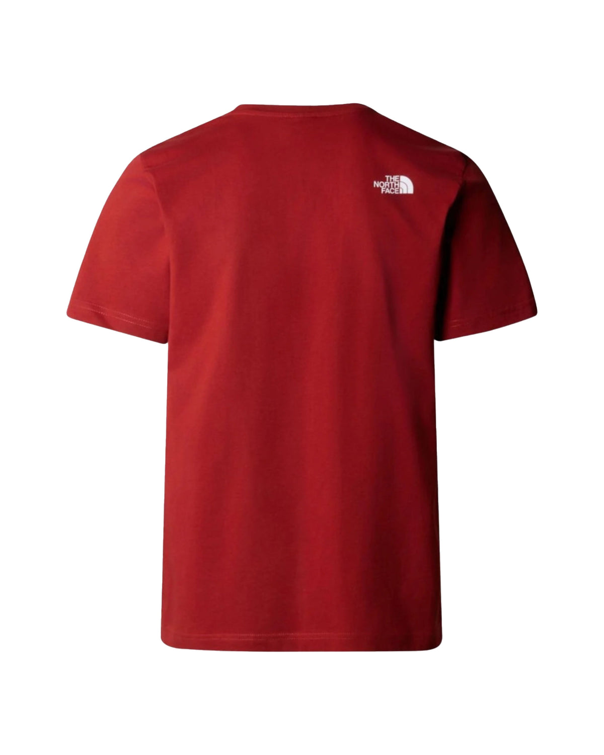 Man Tee The North Face Easy Iron Red
