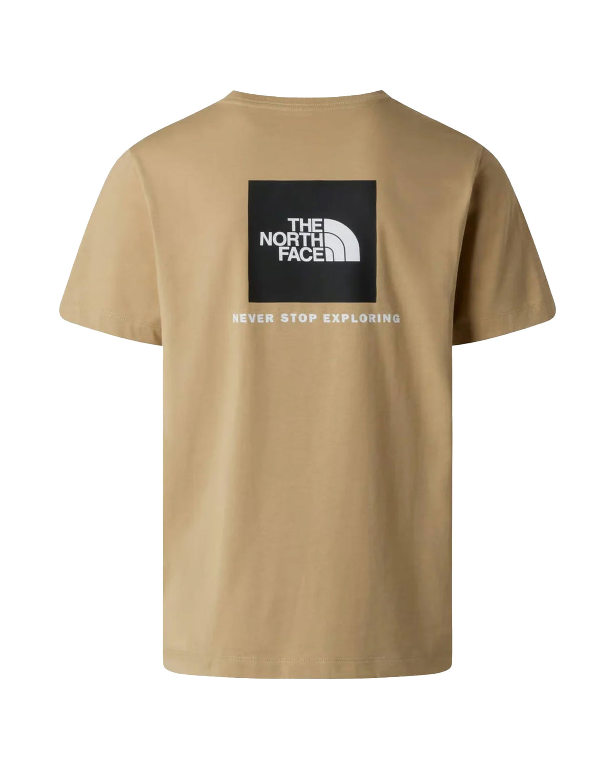 T-Shirt Uomo The North Face Evolution Box Nse Beige